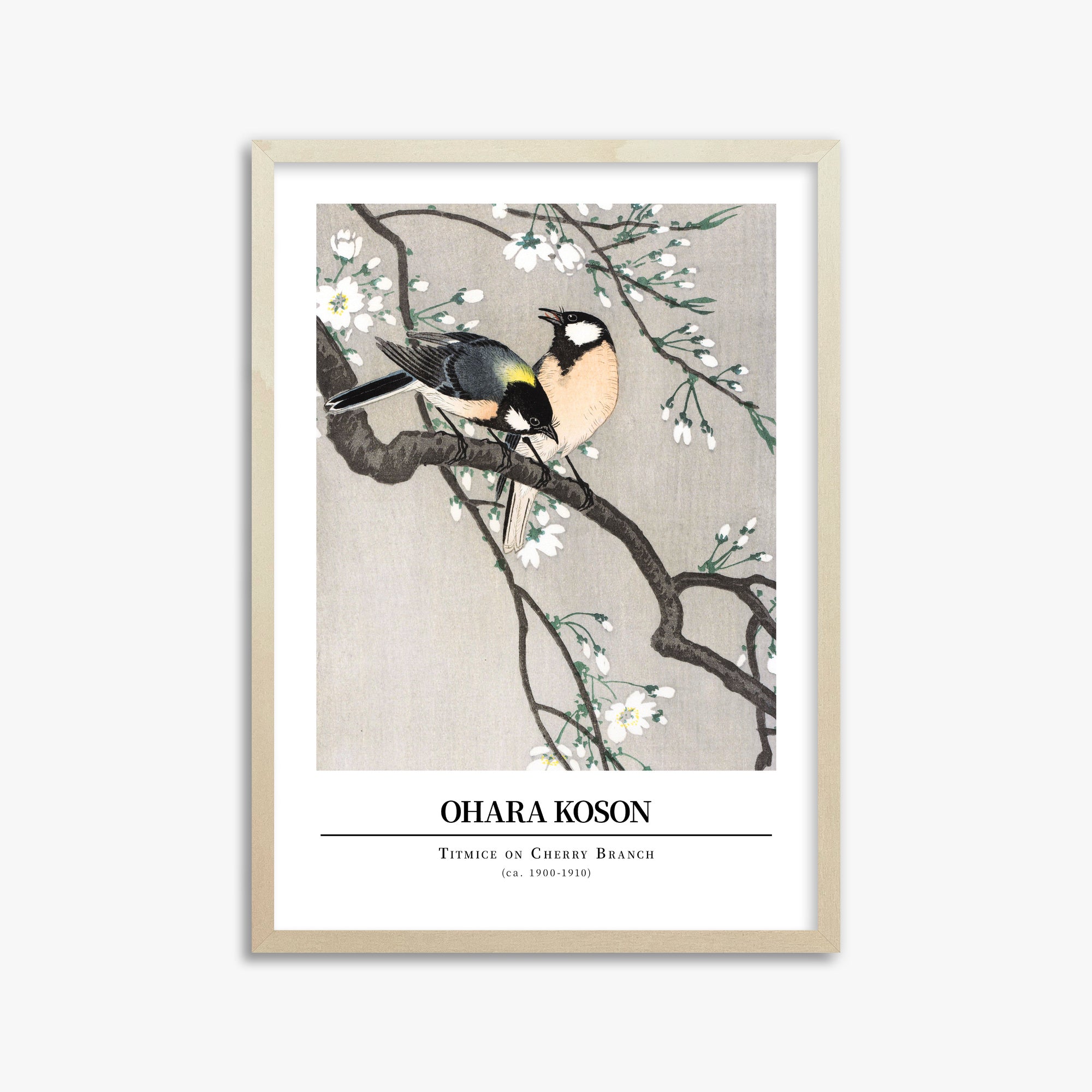 Ohara Koson: Titmice on Cherry Branch - Gallery-style, 50x70cm Framed Art Reproduction With Lime Wood Frame