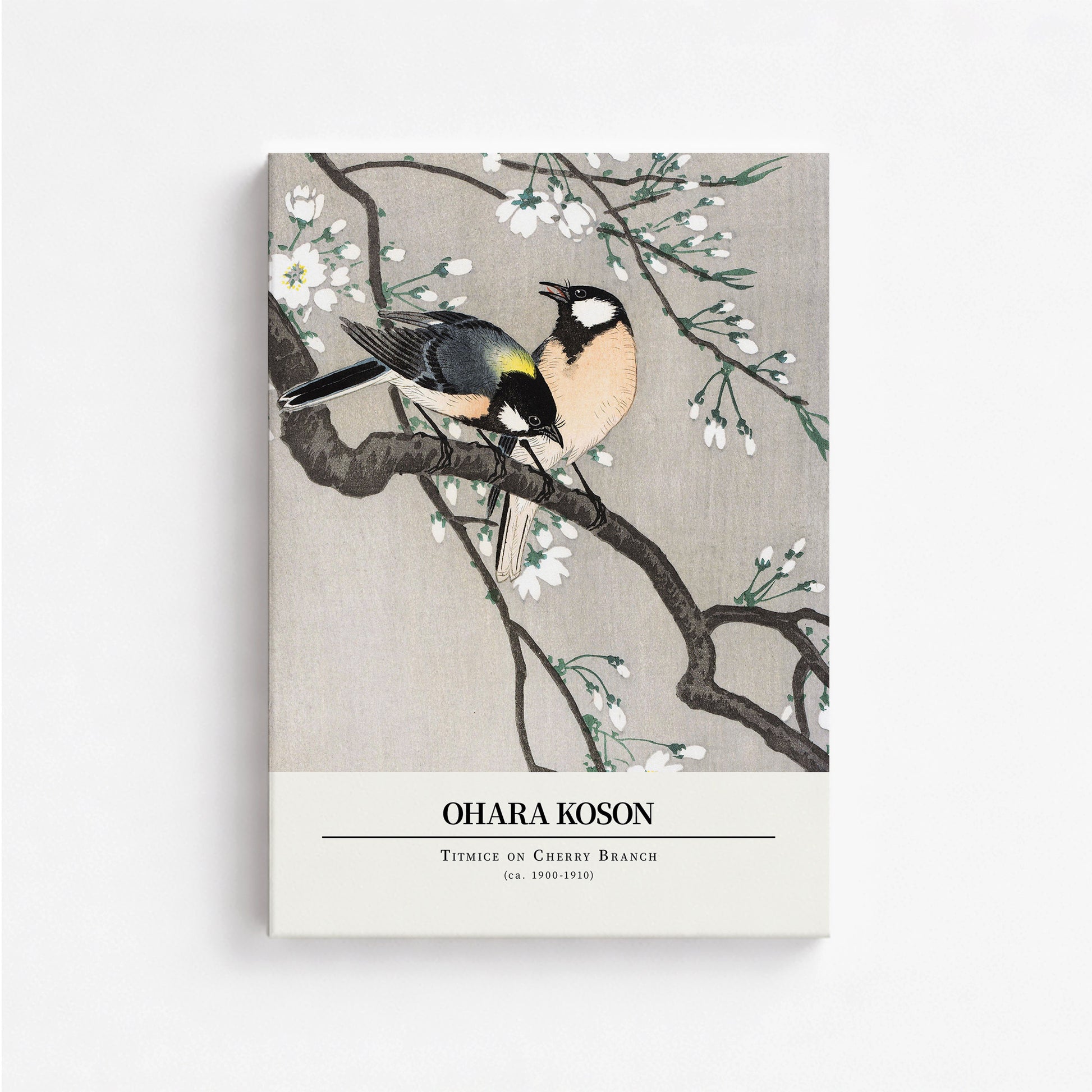 Ohara Koson: Titmice on Cherry Branch - Gallery-style, 50x70cm Satin Canvas Art Reproduction