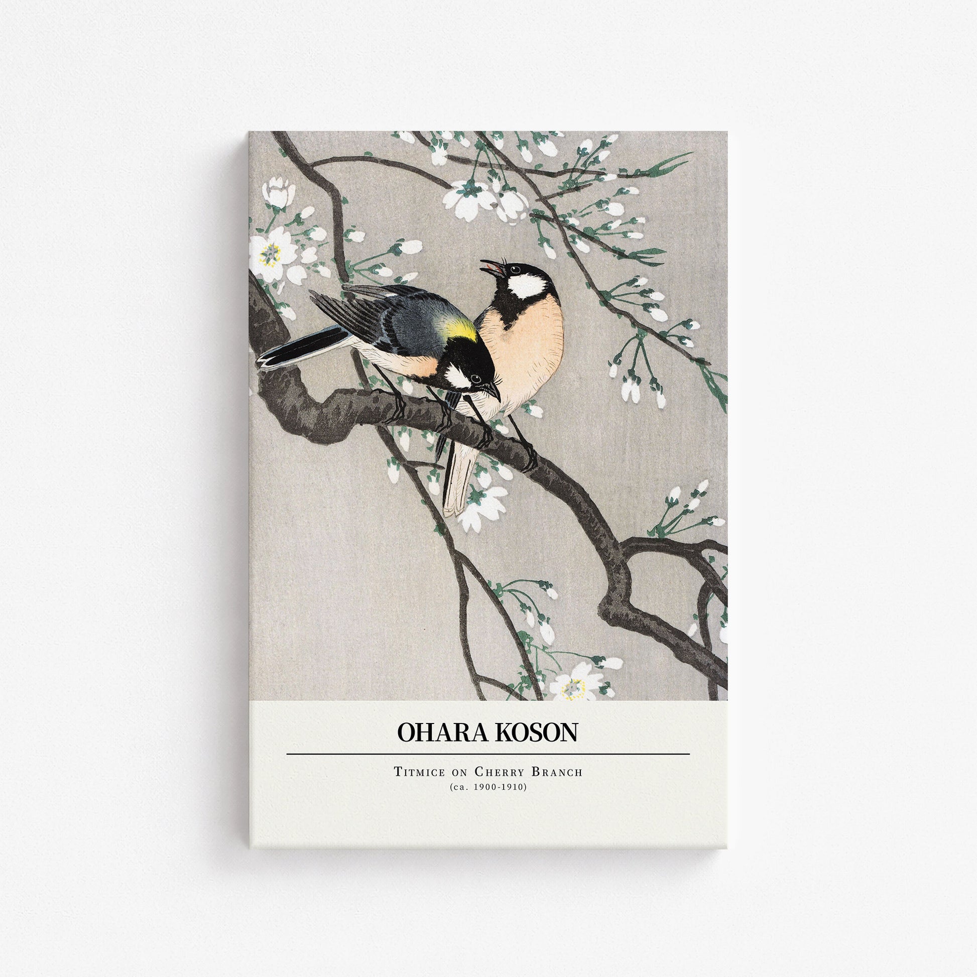 Ohara Koson: Titmice on Cherry Branch - Gallery-style, 61x91cm Satin Canvas Art Reproduction
