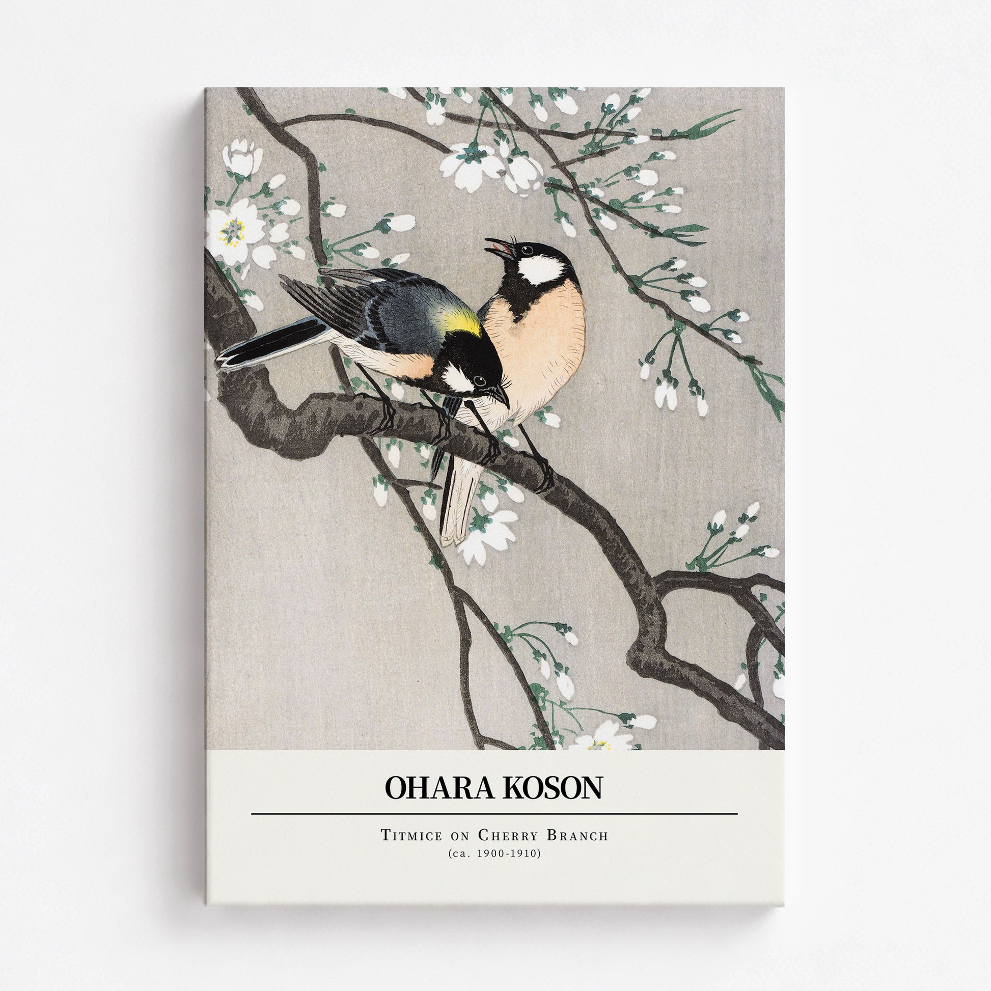 Ohara Koson: Titmice on Cherry Branch - Gallery-style, 70x100cm Satin Canvas Art Reproduction