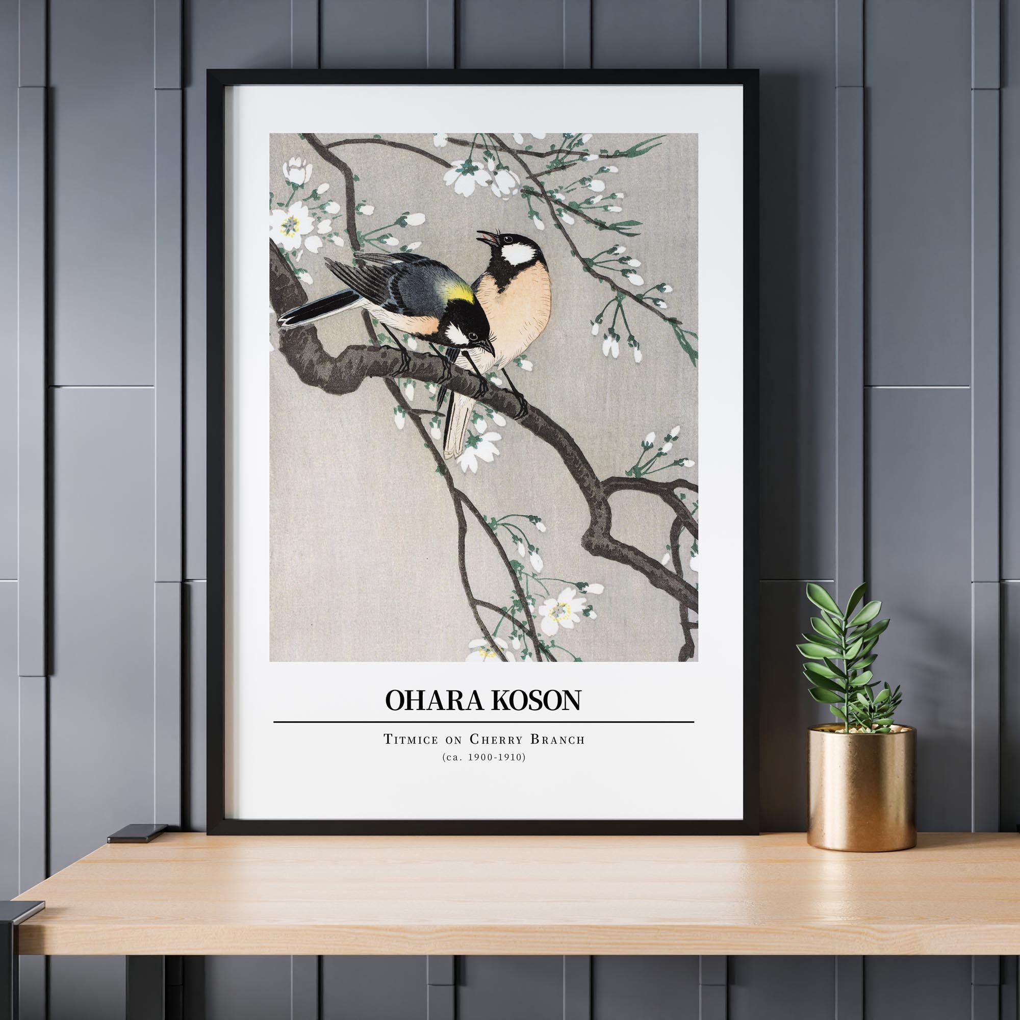 Ohara Koson: Titmice on Cherry Branch - Gallery-style, Japanese