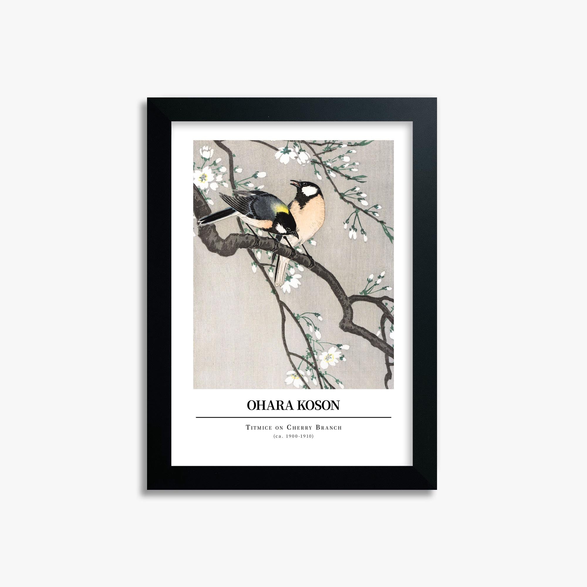 Ohara Koson: Titmice on Cherry Branch - Gallery-style 21x30 cm Art Reproduction With Black Frame