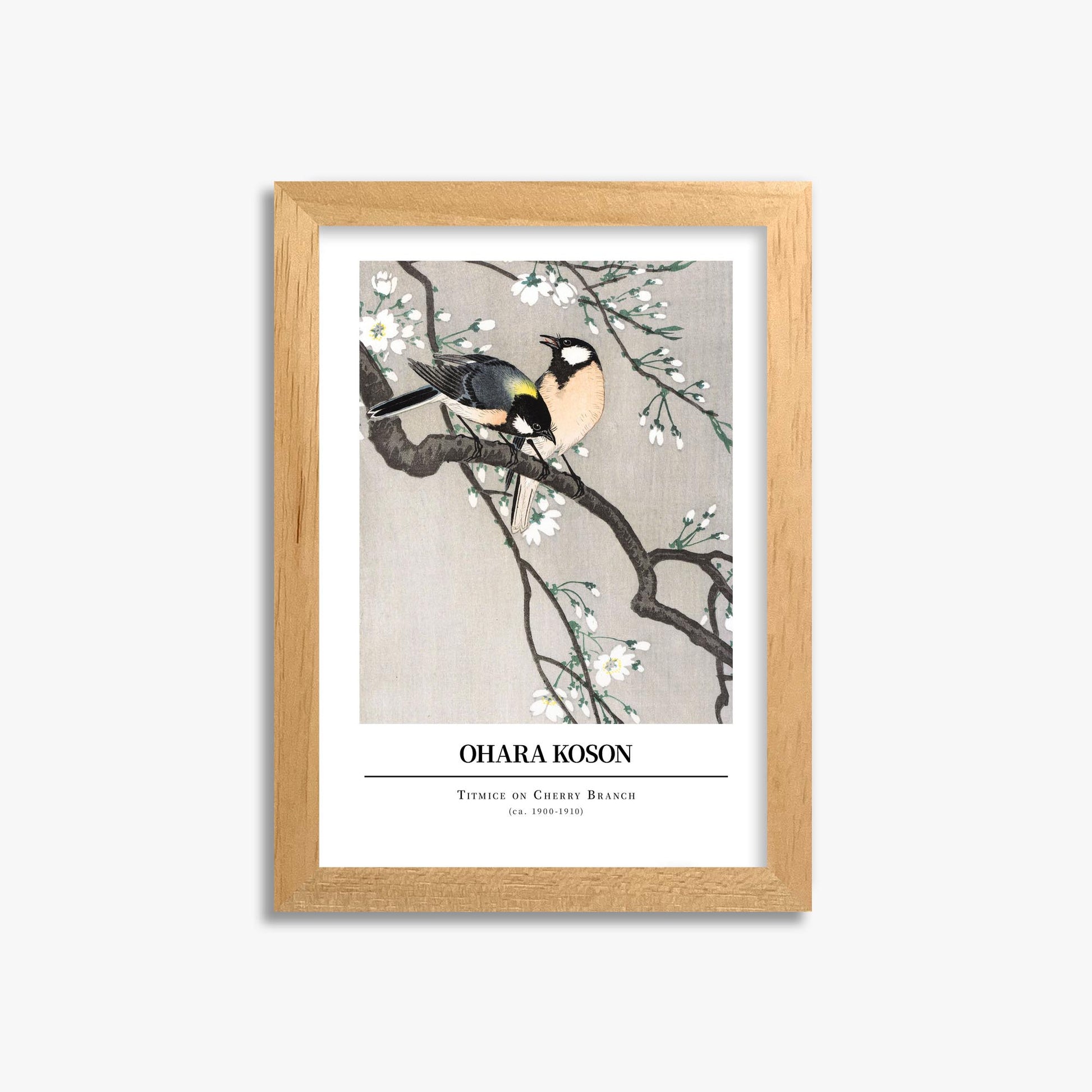 Ohara Koson: Titmice on Cherry Branch - Gallery-style 21x30 cm Art Reproduction With Oak Frame