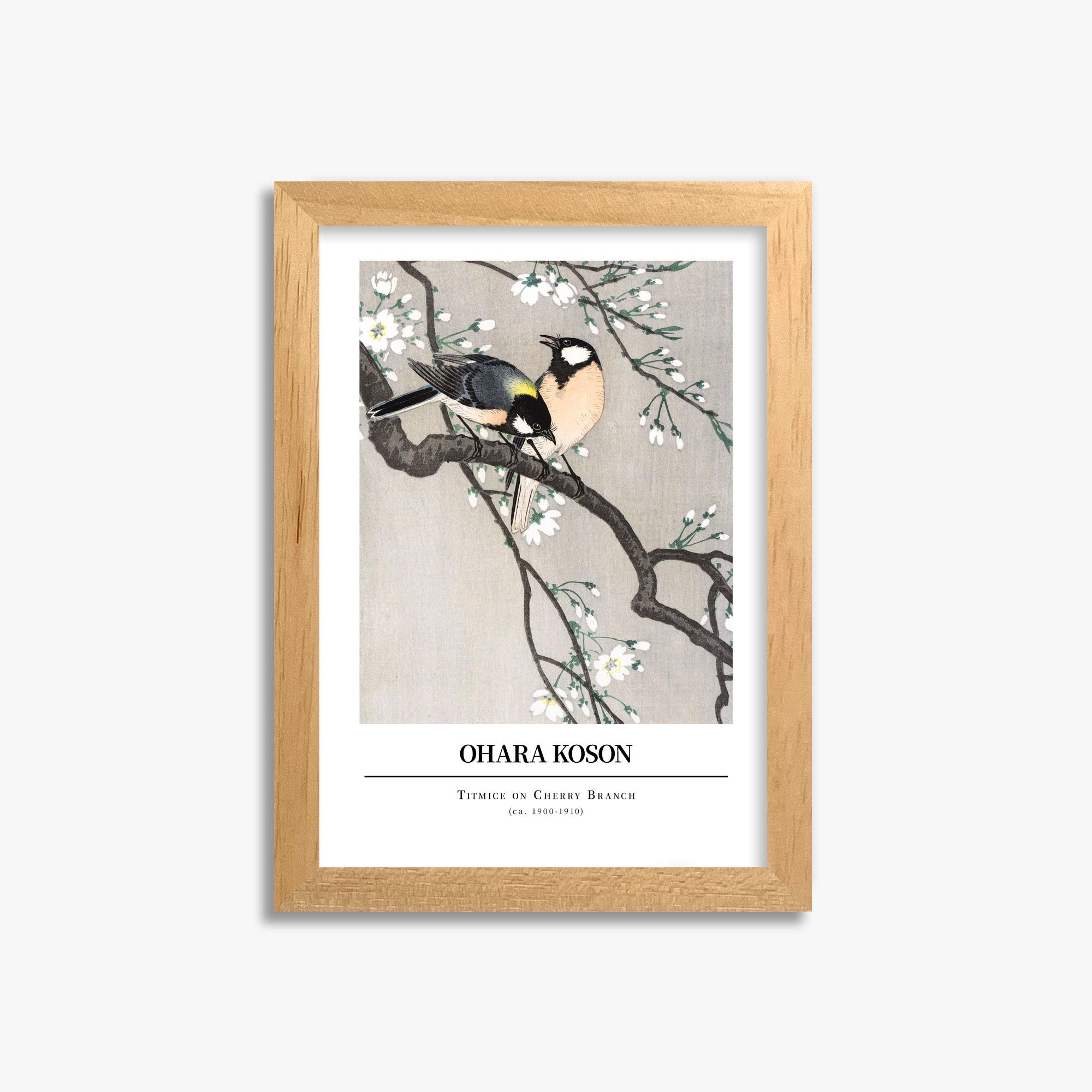 Ohara Koson: Titmice on Cherry Branch - Gallery-style 21x30 cm Art Reproduction With Oak Frame