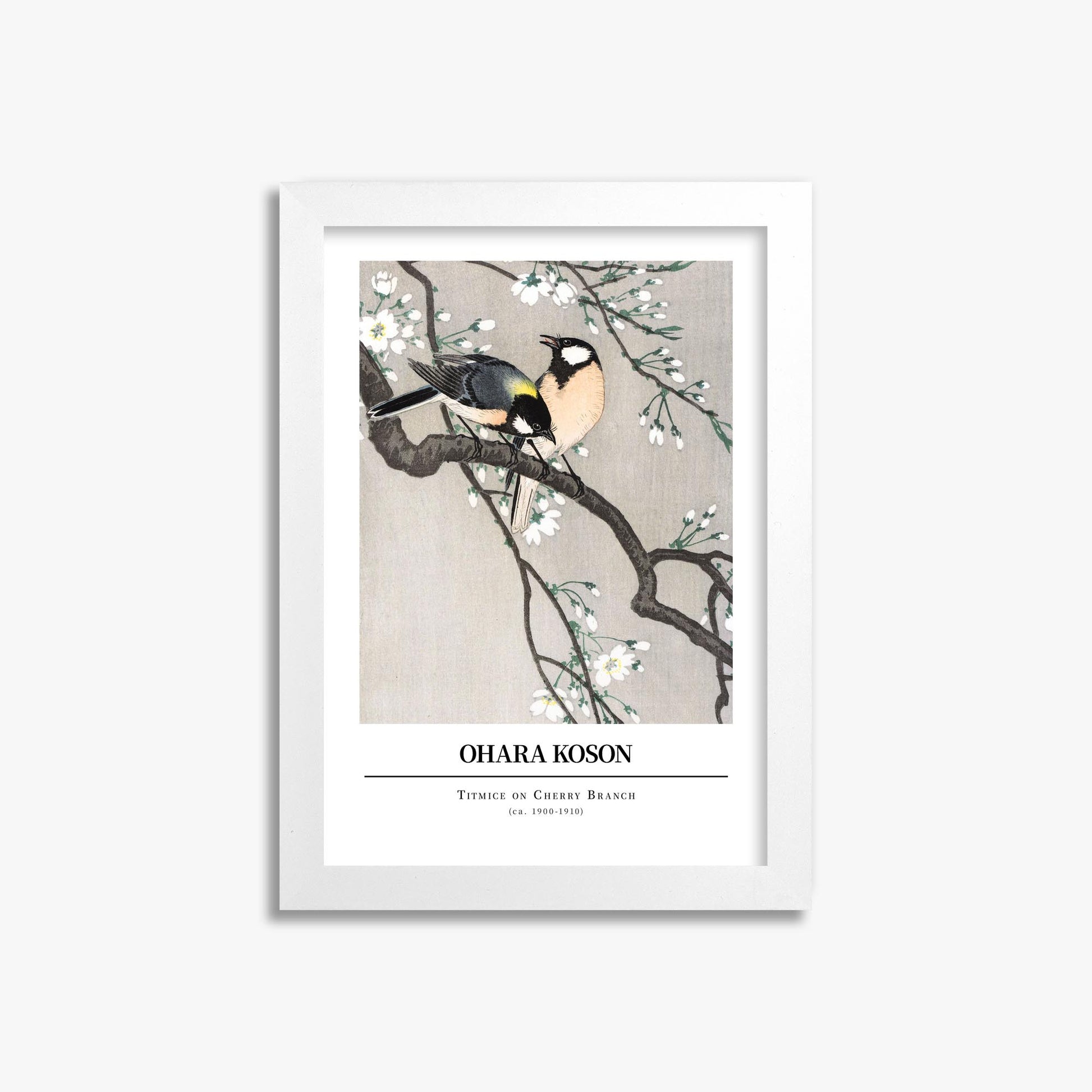Ohara Koson: Titmice on Cherry Branch - Gallery-style 21x30 cm Art Reproduction With White Frame