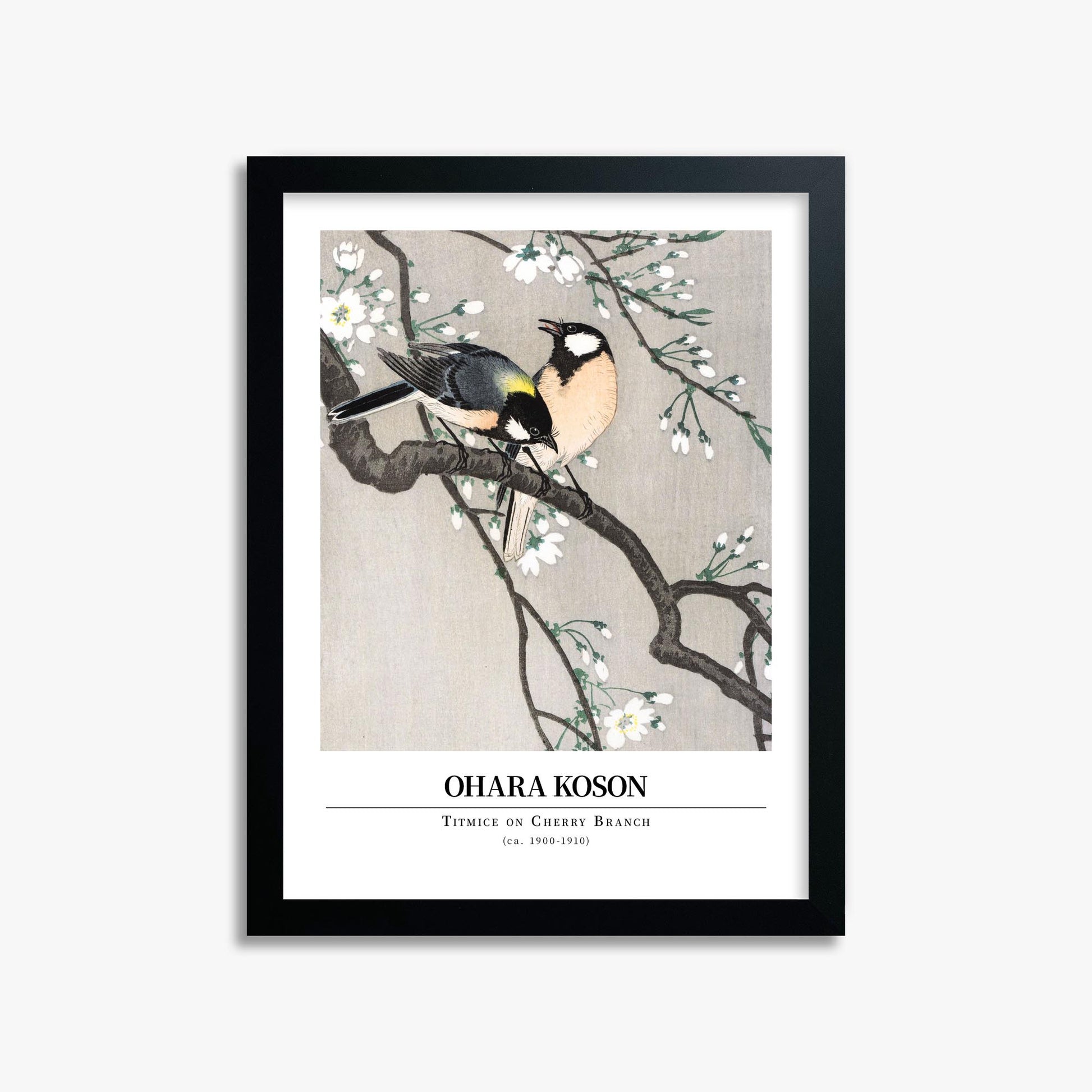 Ohara Koson: Titmice on Cherry Branch - Gallery-style 30x40 cm Art Reproduction With Black Frame