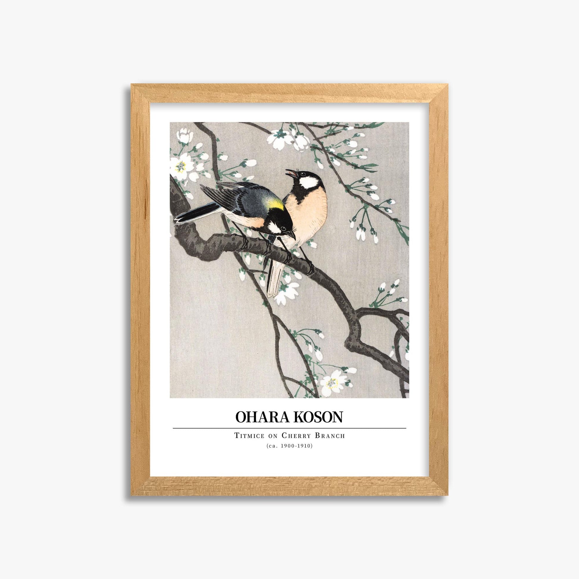 Ohara Koson: Titmice on Cherry Branch - Gallery-style 30x40 cm Art Reproduction With Oak Frame