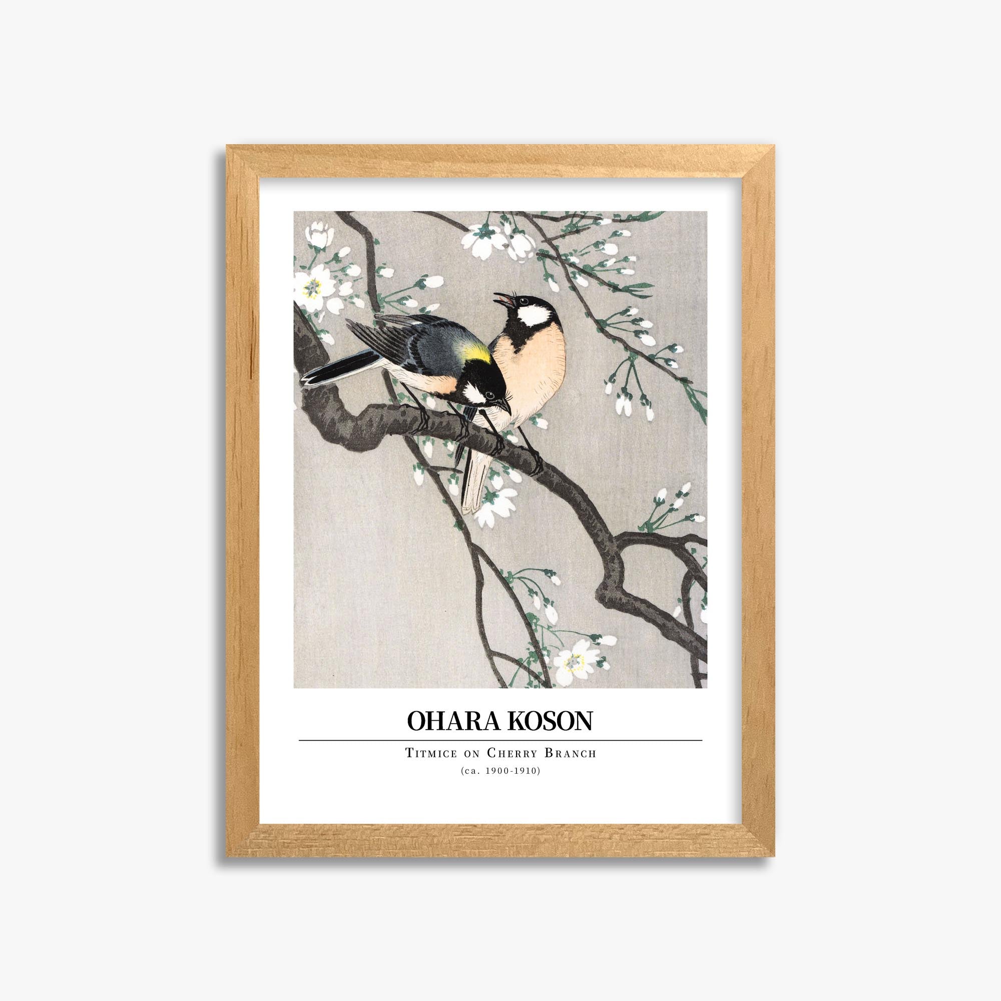Ohara Koson: Titmice on Cherry Branch - Gallery-style 30x40 cm Art Reproduction With Oak Frame