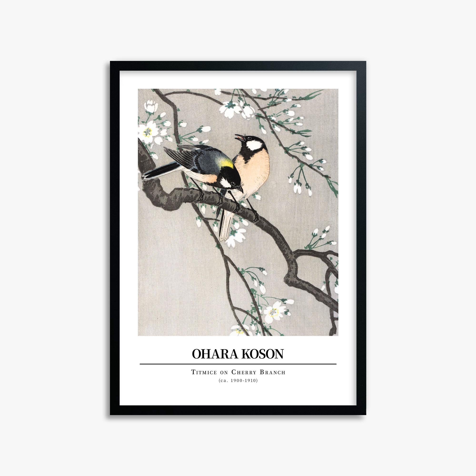 Ohara Koson: Titmice on Cherry Branch - Gallery-style 50x70 cm Art Reproduction With Black Frame
