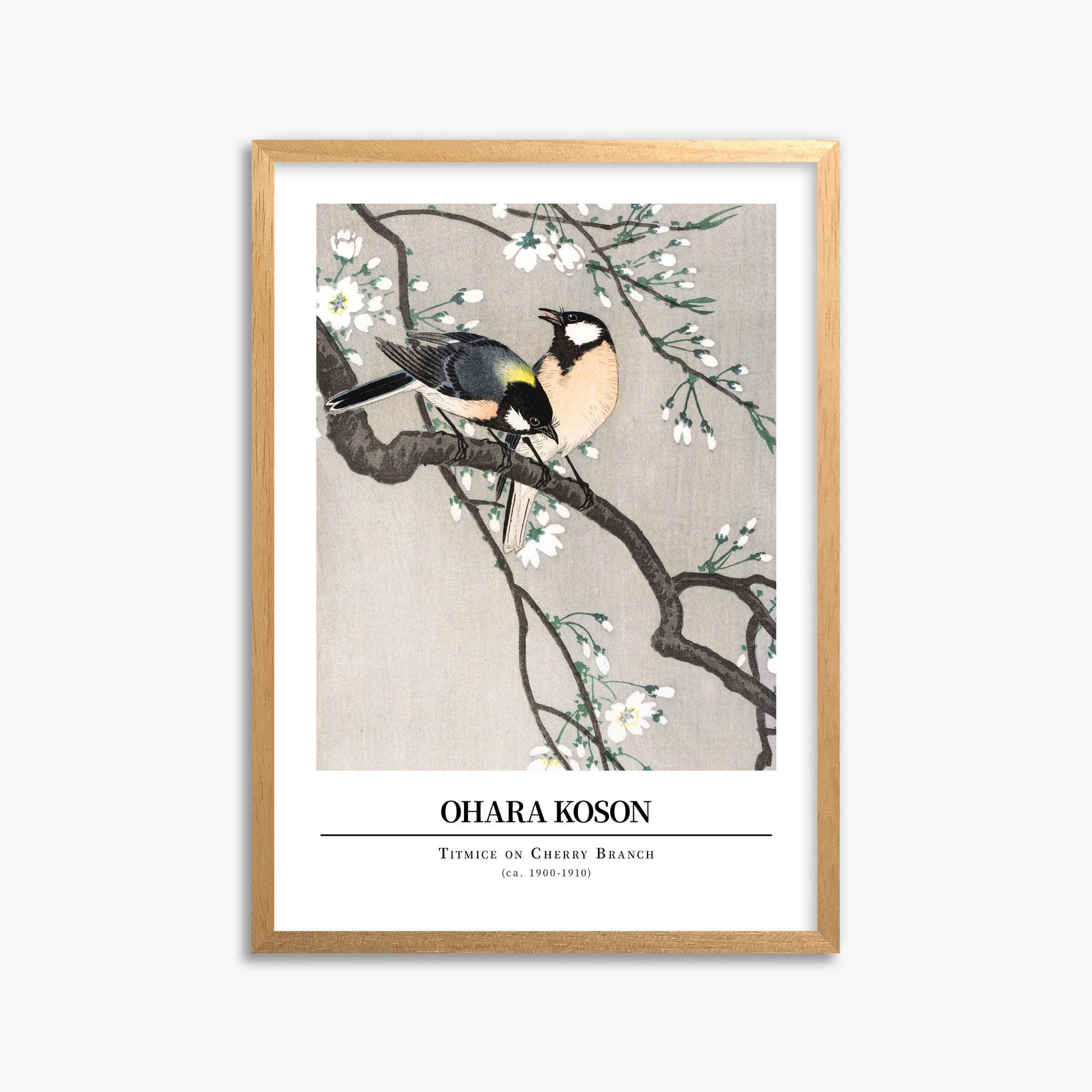 Ohara Koson: Titmice on Cherry Branch - Gallery-style 50x70 cm Art Reproduction With Oak Frame