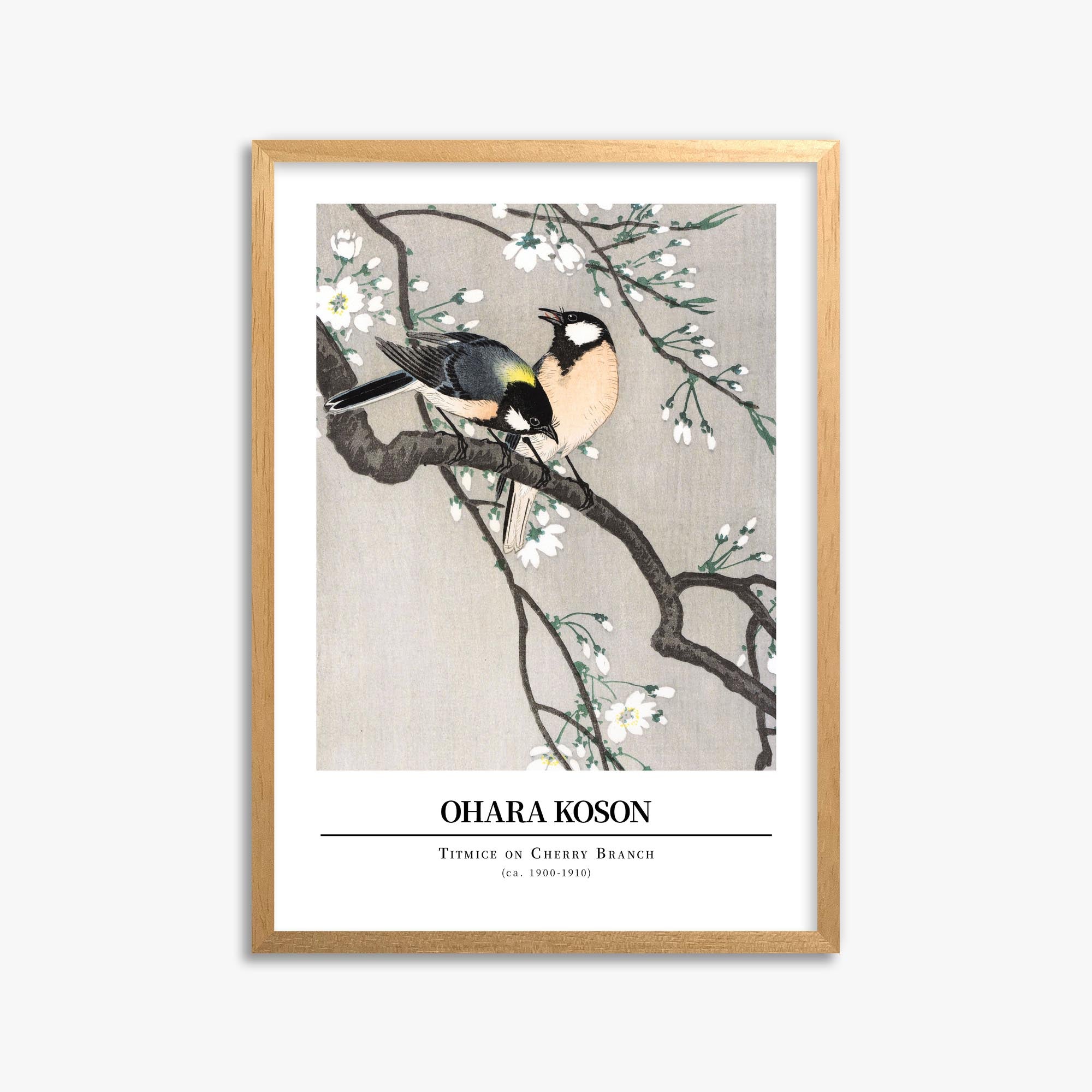 Ohara Koson: Titmice on Cherry Branch - Gallery-style 50x70 cm Art Reproduction With Oak Frame