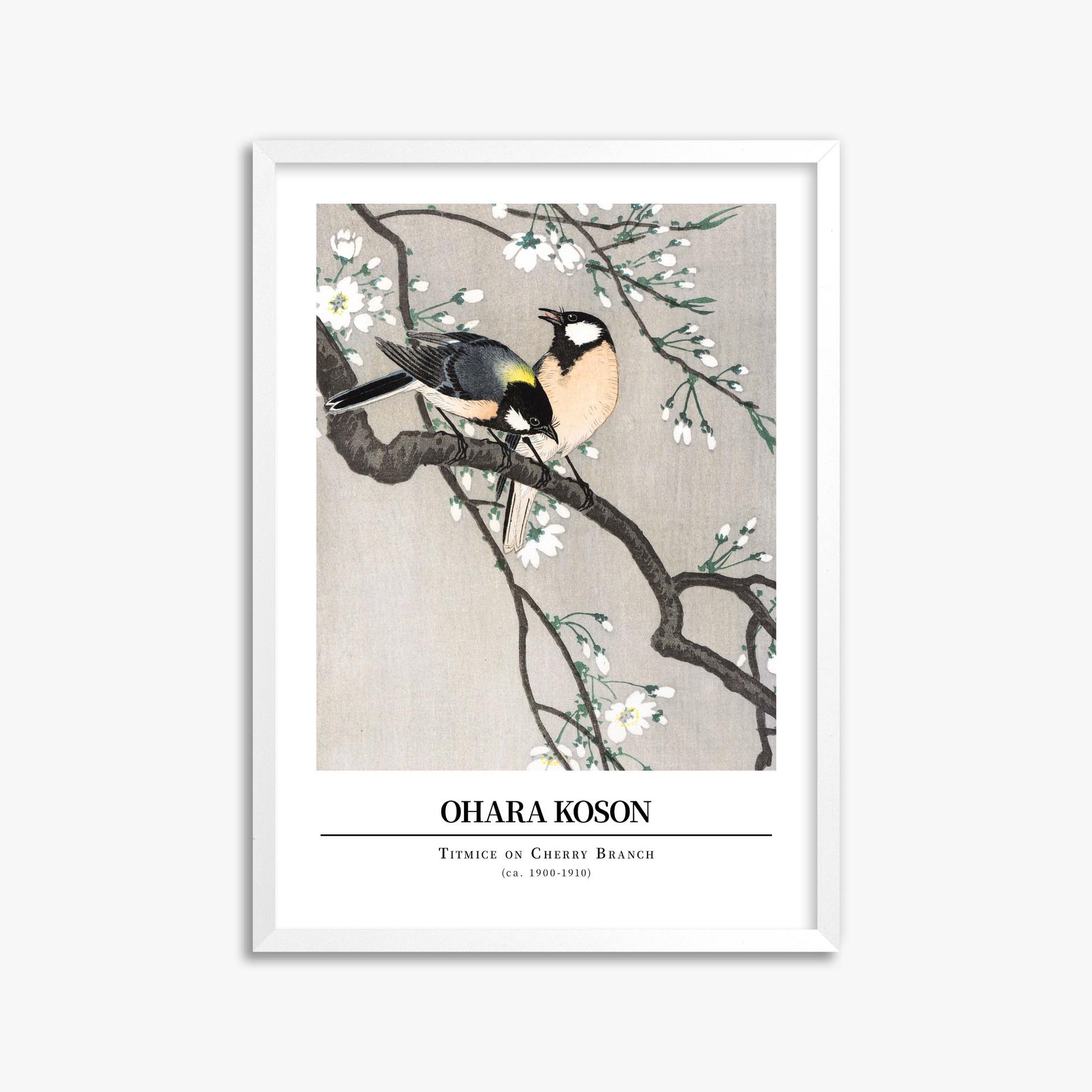 Ohara Koson: Titmice on Cherry Branch - Gallery-style 50x70 cm Art Reproduction With White Frame