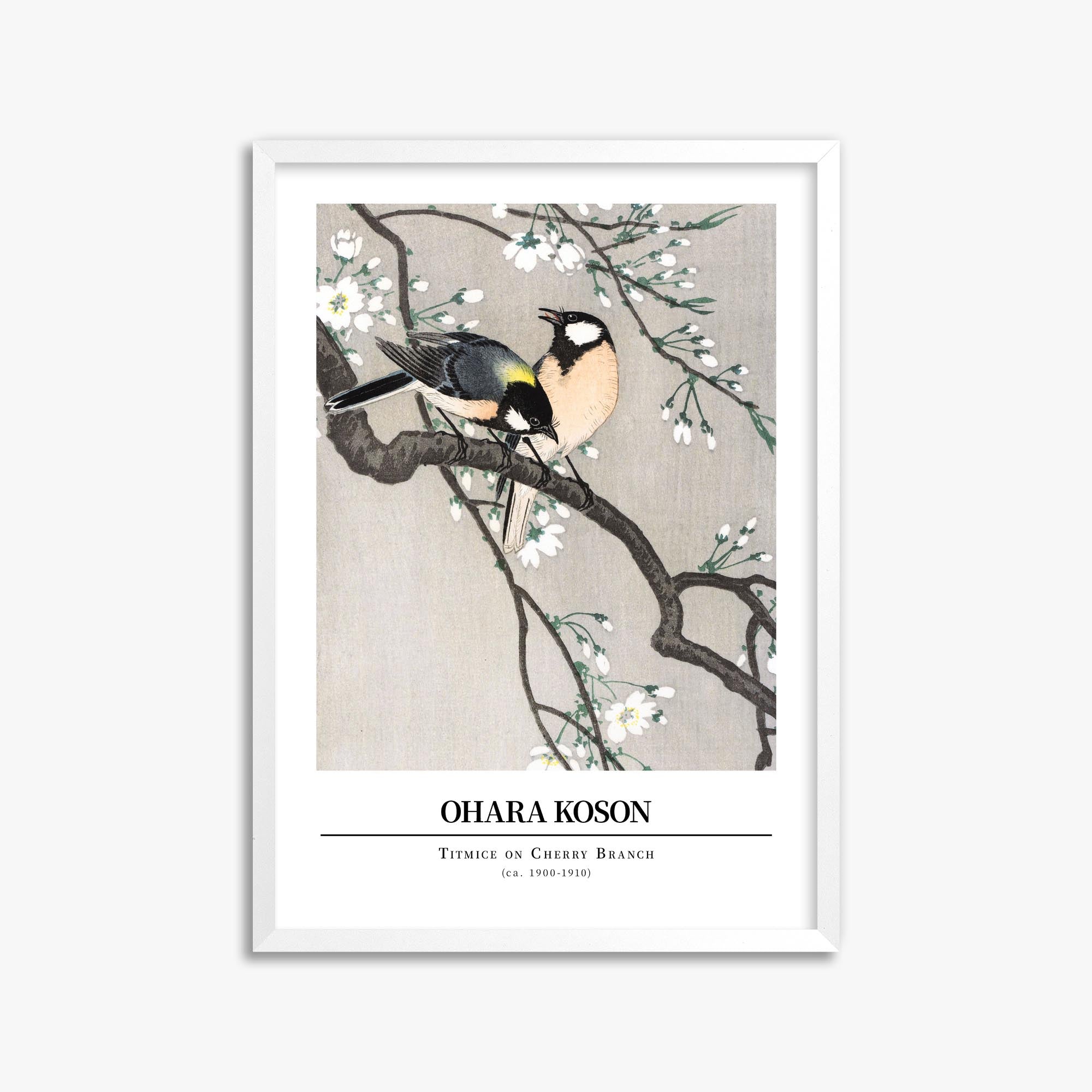 Ohara Koson: Titmice on Cherry Branch - Gallery-style 50x70 cm Art Reproduction With White Frame