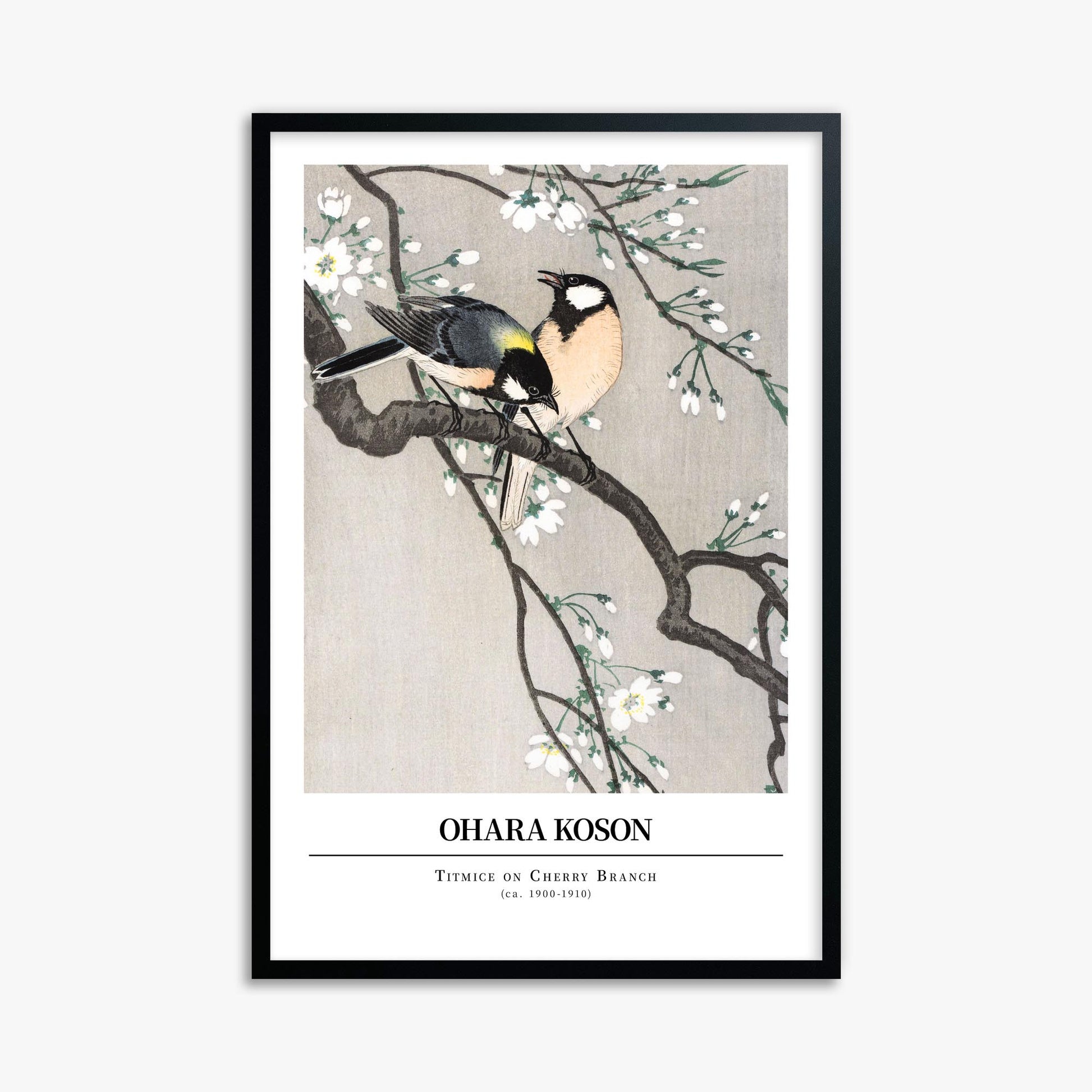 Ohara Koson: Titmice on Cherry Branch - Gallery-style 61x91 cm Art Reproduction With Black Frame