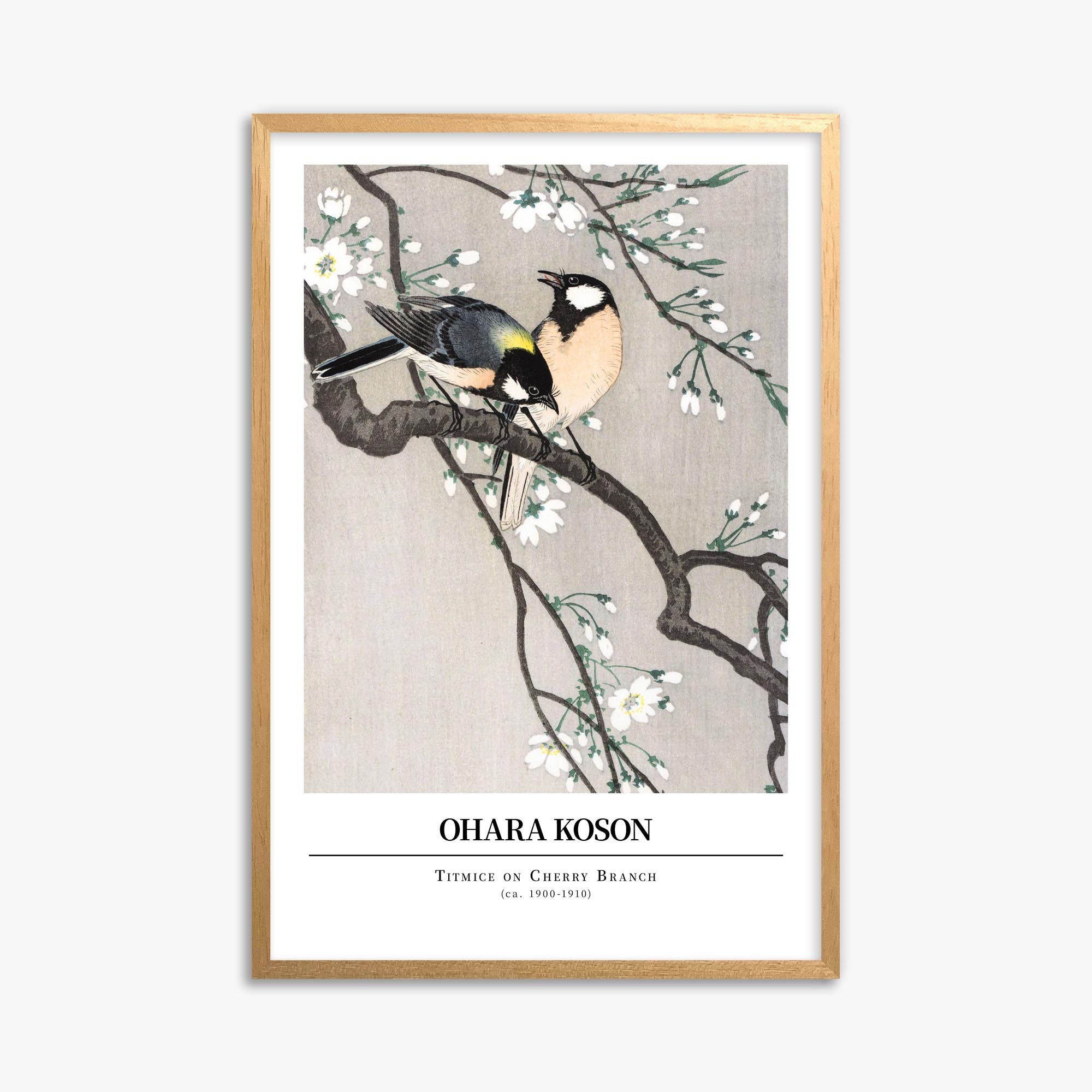 Ohara Koson: Titmice on Cherry Branch - Gallery-style 61x91 cm Art Reproduction With Oak Frame