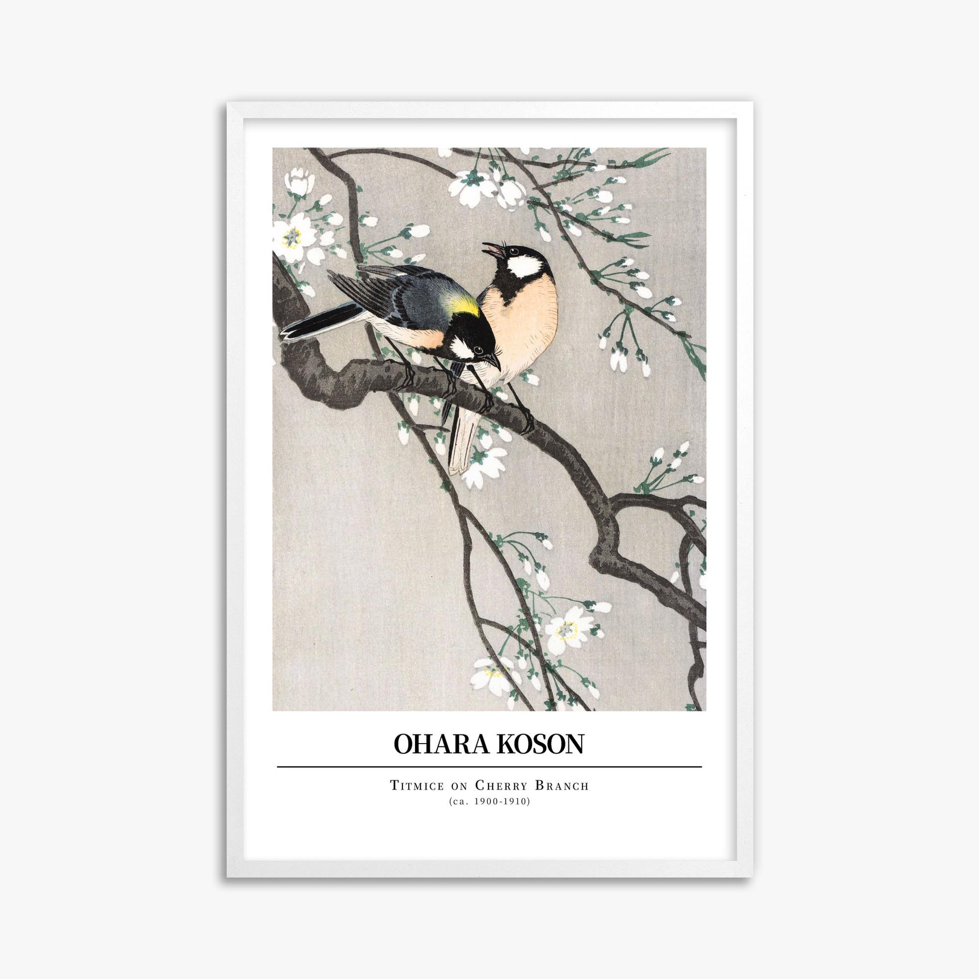 Ohara Koson: Titmice on Cherry Branch - Gallery-style 61x91 cm Art Reproduction With White Frame