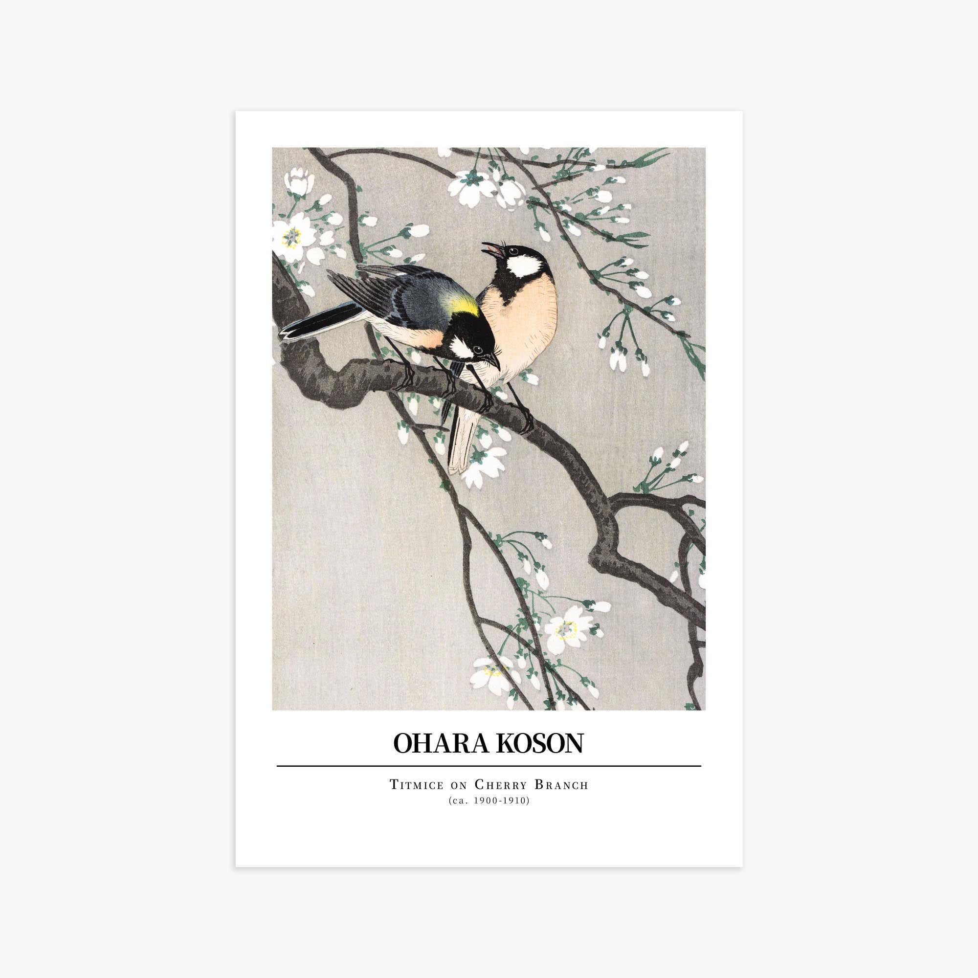 Ohara Koson: Titmice on Cherry Branch - Gallery-style 61x91 cm Art Reproduction Unframed