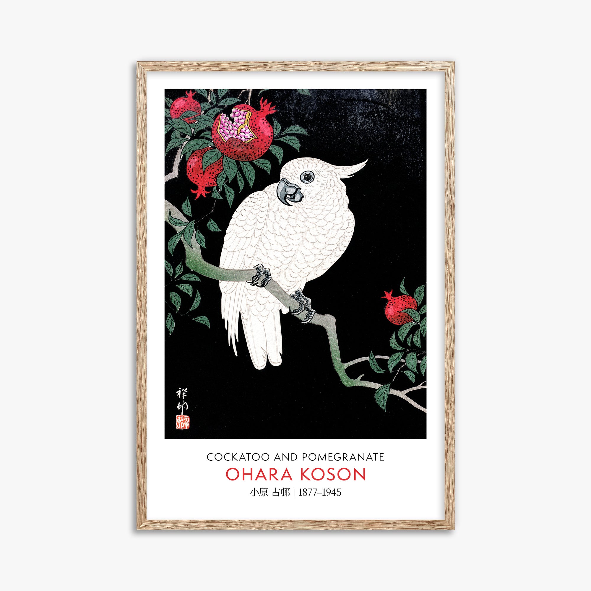 Cacatua e melograno - Gallery-style