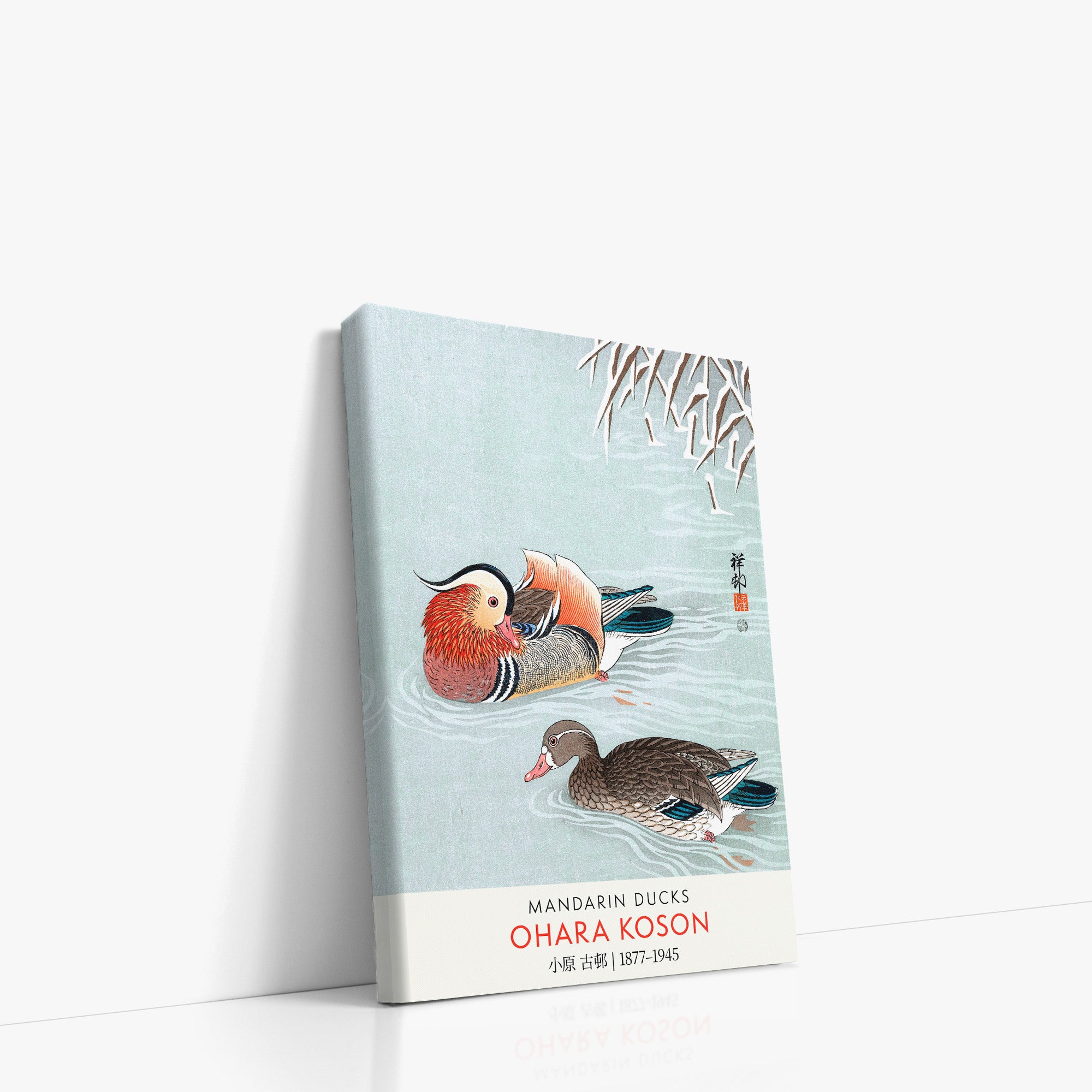 Mandarin Ducks - Gallery-style