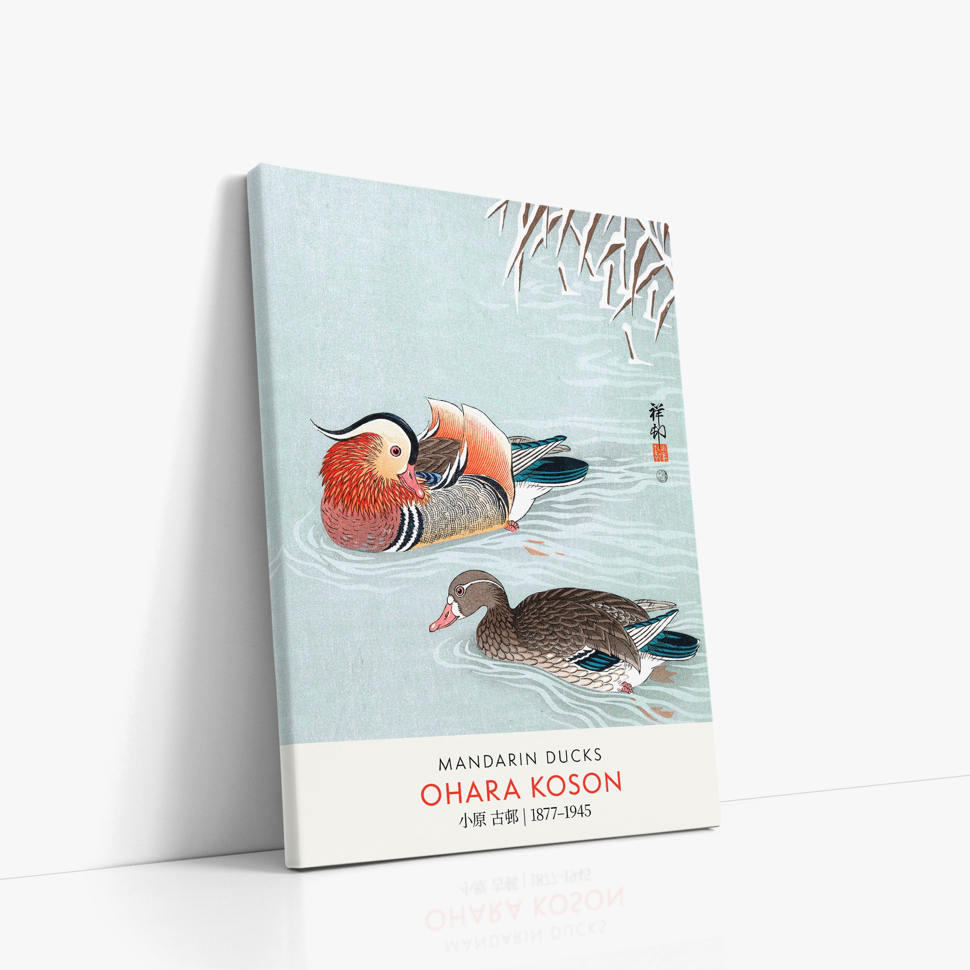 Mandarin Ducks - Gallery-style
