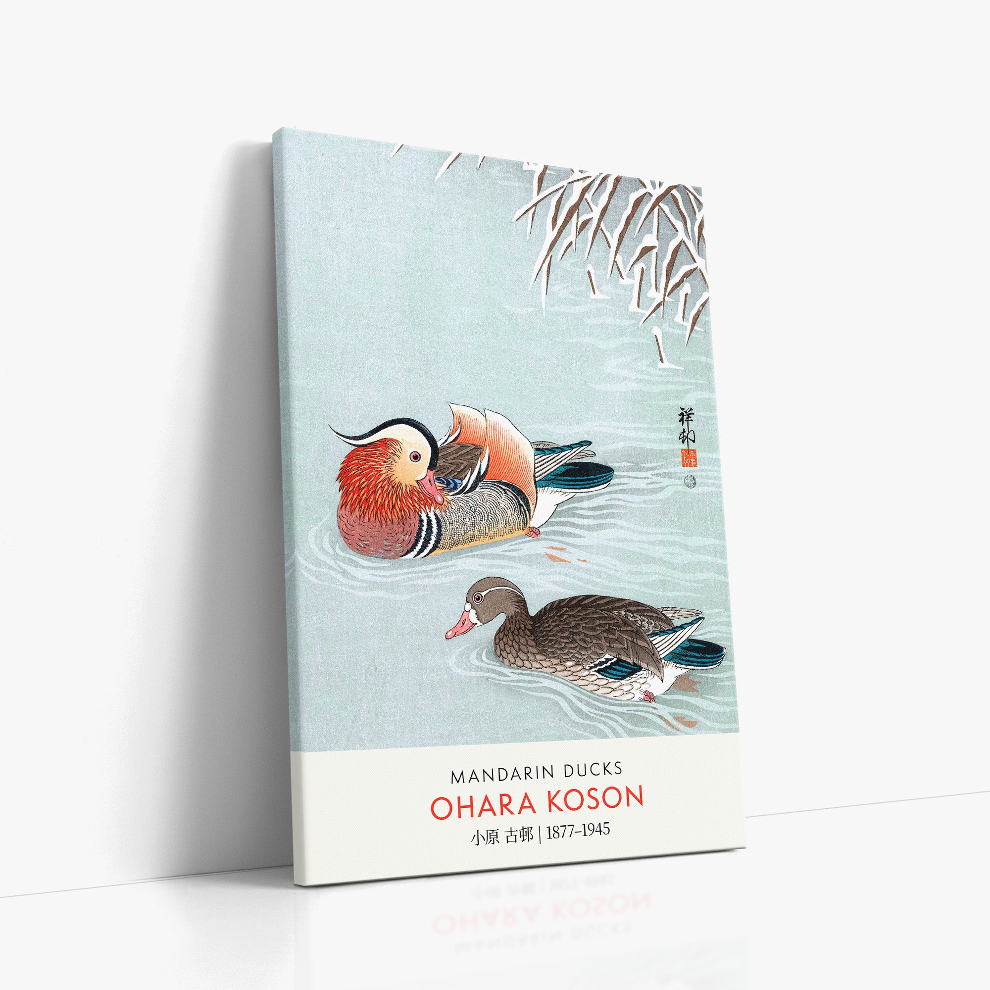 Mandarin Ducks - Gallery-style