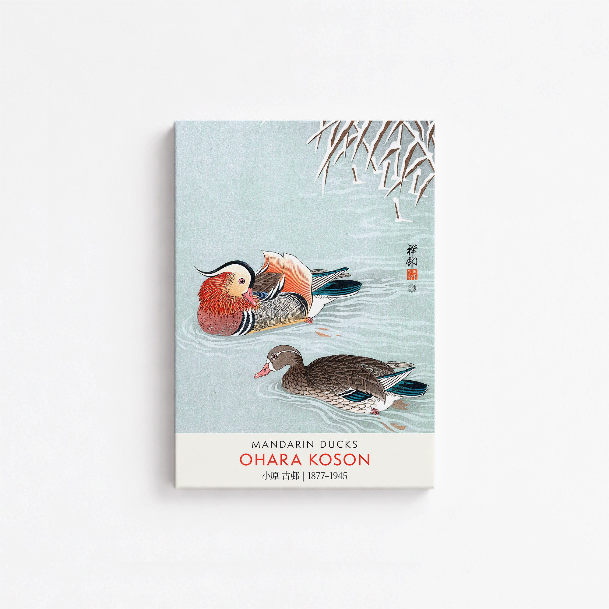 Mandarin Ducks - Gallery-style