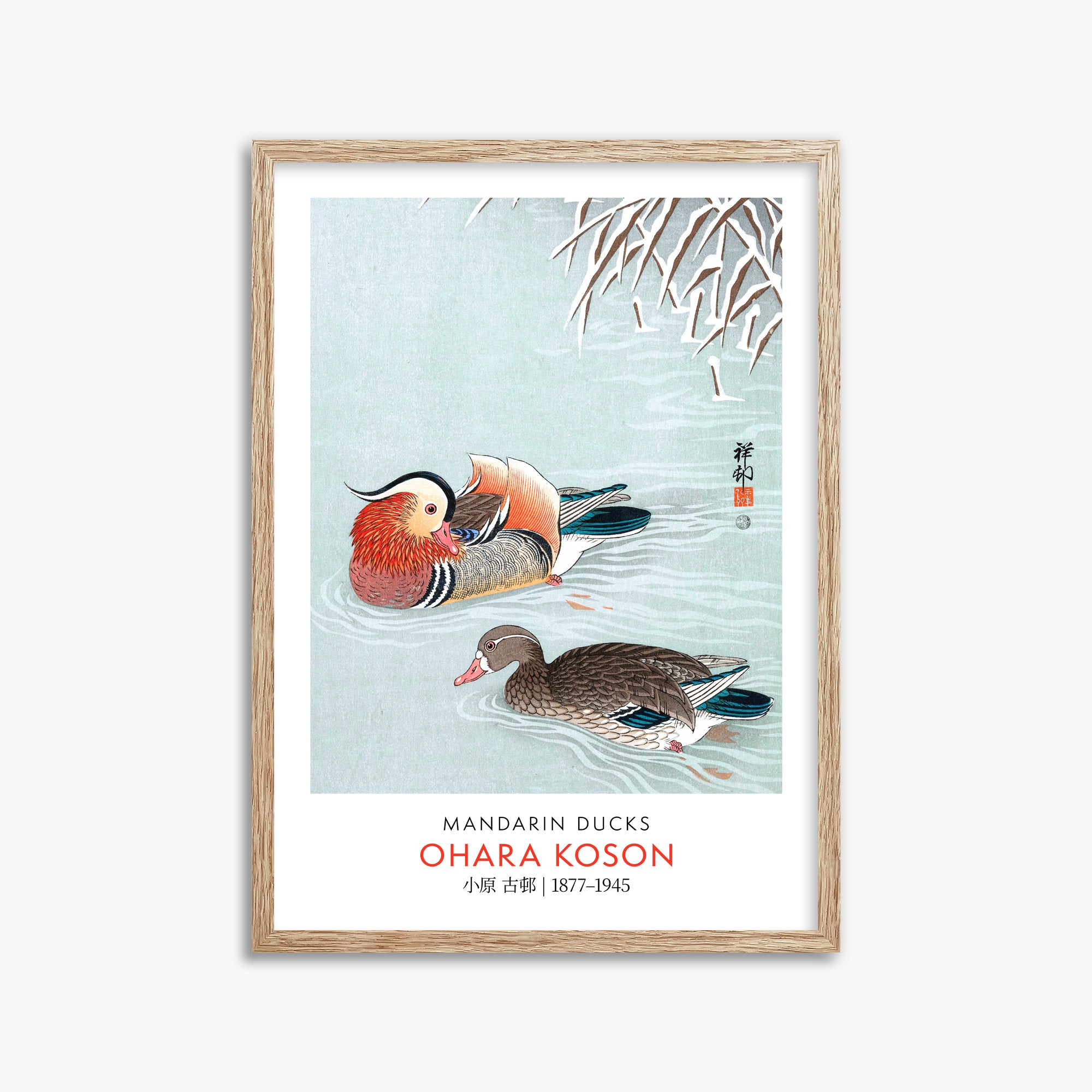 Ohara Koson: Mandarin Ducks - Gallery-style, 50x70cm Framed Art Reproduction With Raw Oak Frame