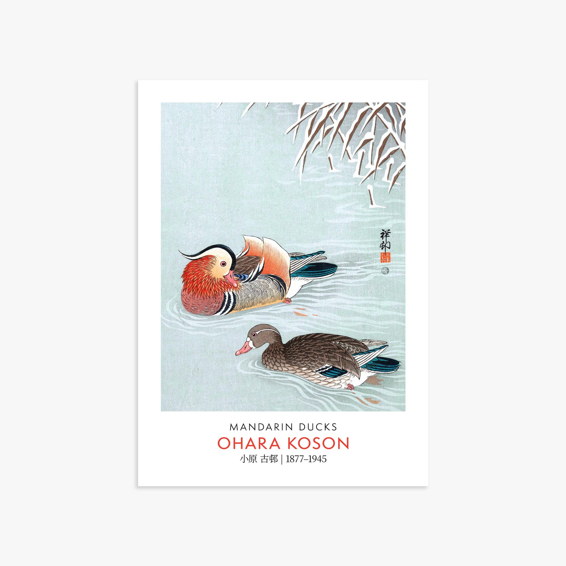 Ohara Koson: Mandarin Ducks - Gallery-style 50x70 cm Art Reproduction Unframed