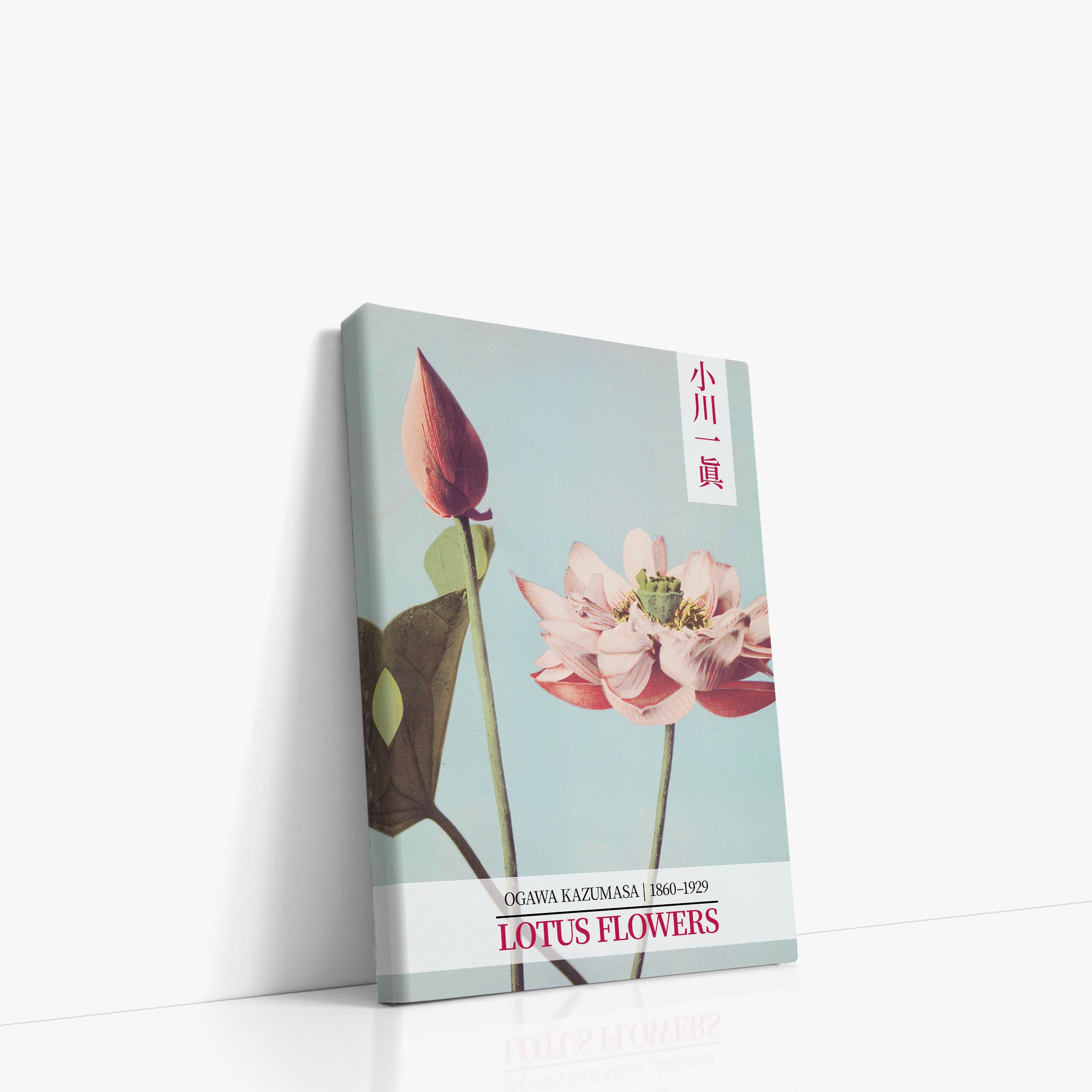 Lotusblumen - Galerie-Stil 2