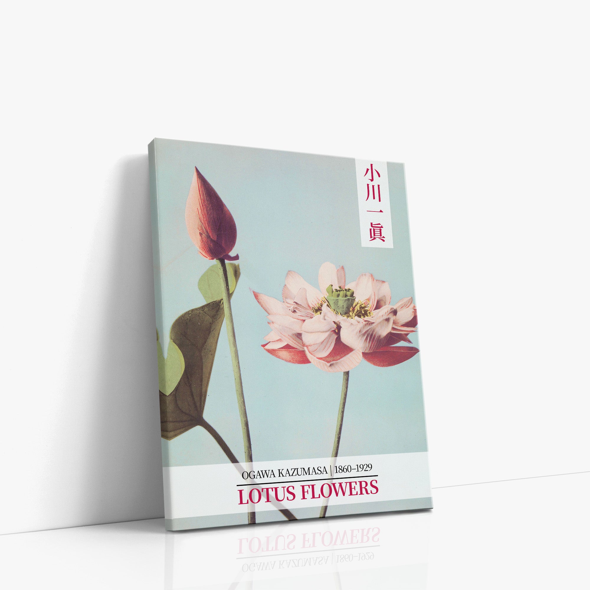 Lotusblumen - Galerie-Stil 2