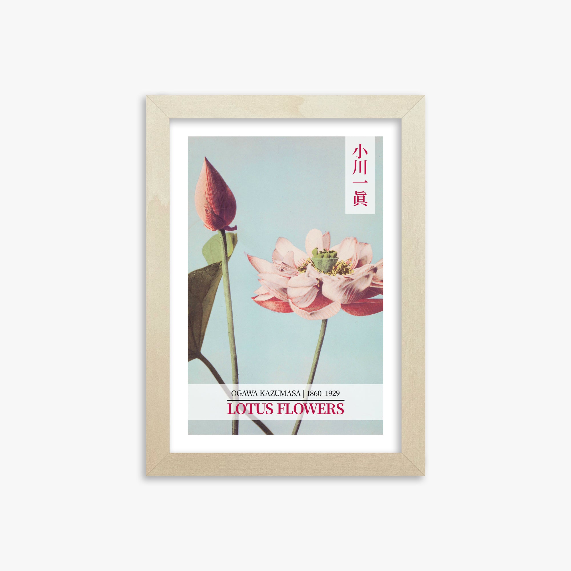 Ogawa Kazumasa: Lotus Flowers - Gallery-style 2, 21x30cm Framed Art Reproduction With Lime Wood Frame