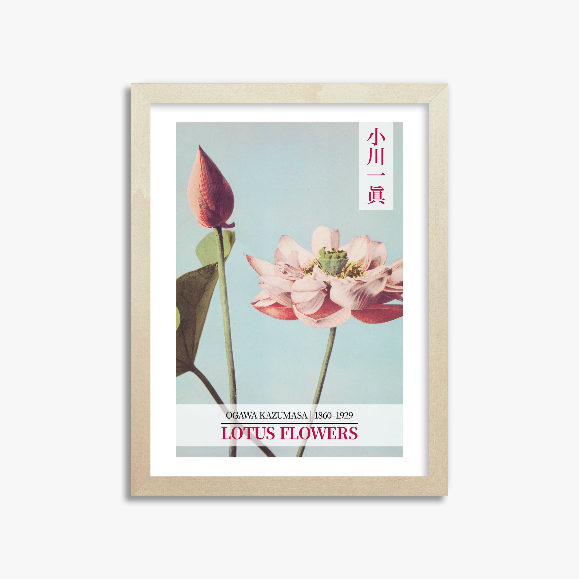 Ogawa Kazumasa: Lotus Flowers - Gallery-style 2, 30x40cm Framed Art Reproduction With Lime Wood Frame