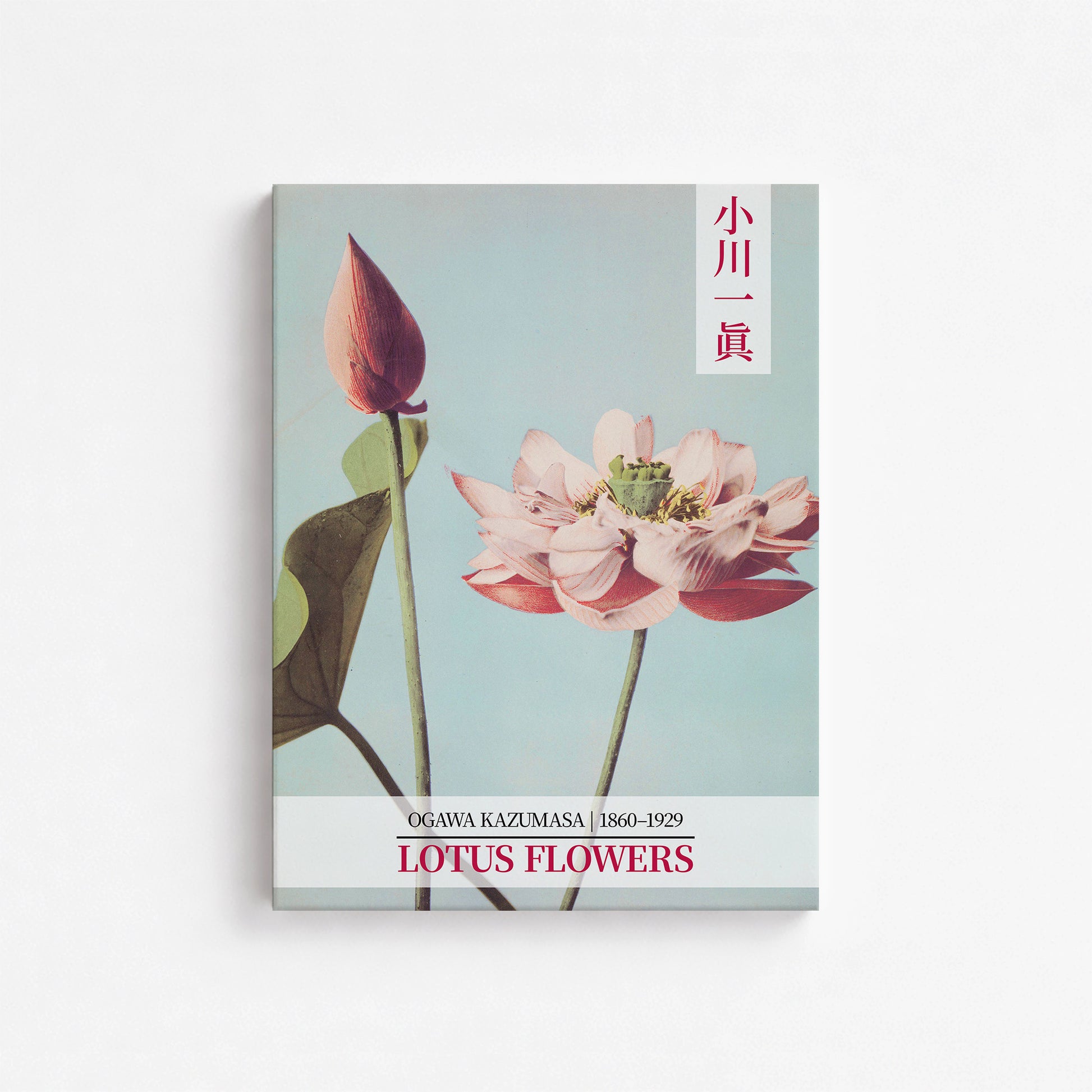 Ogawa Kazumasa: Lotus Flowers - Gallery-style 2, 30x40cm Satin Canvas Art Reproduction