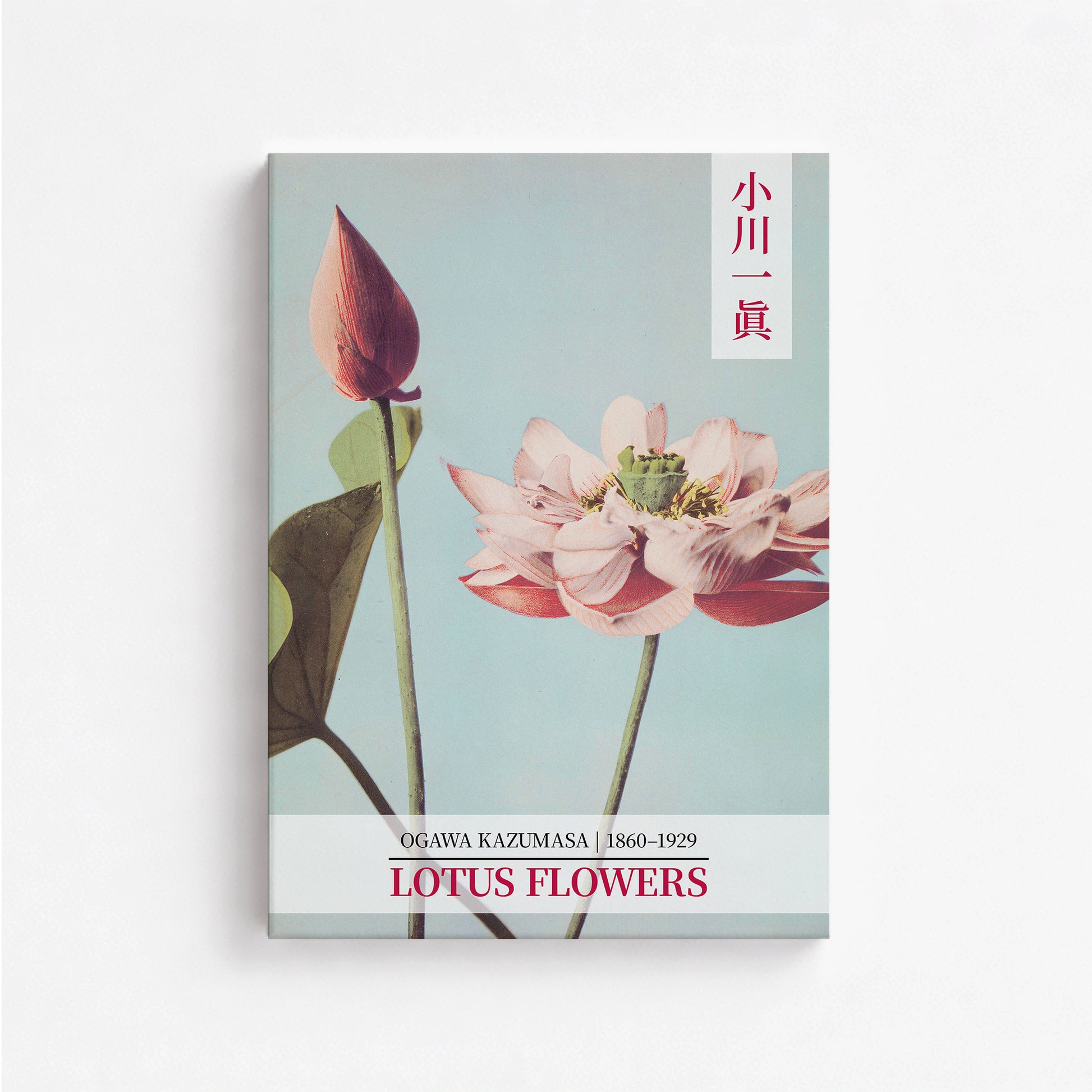 Ogawa Kazumasa: Lotus Flowers - Gallery-style 2, 50x70cm Satin Canvas Art Reproduction