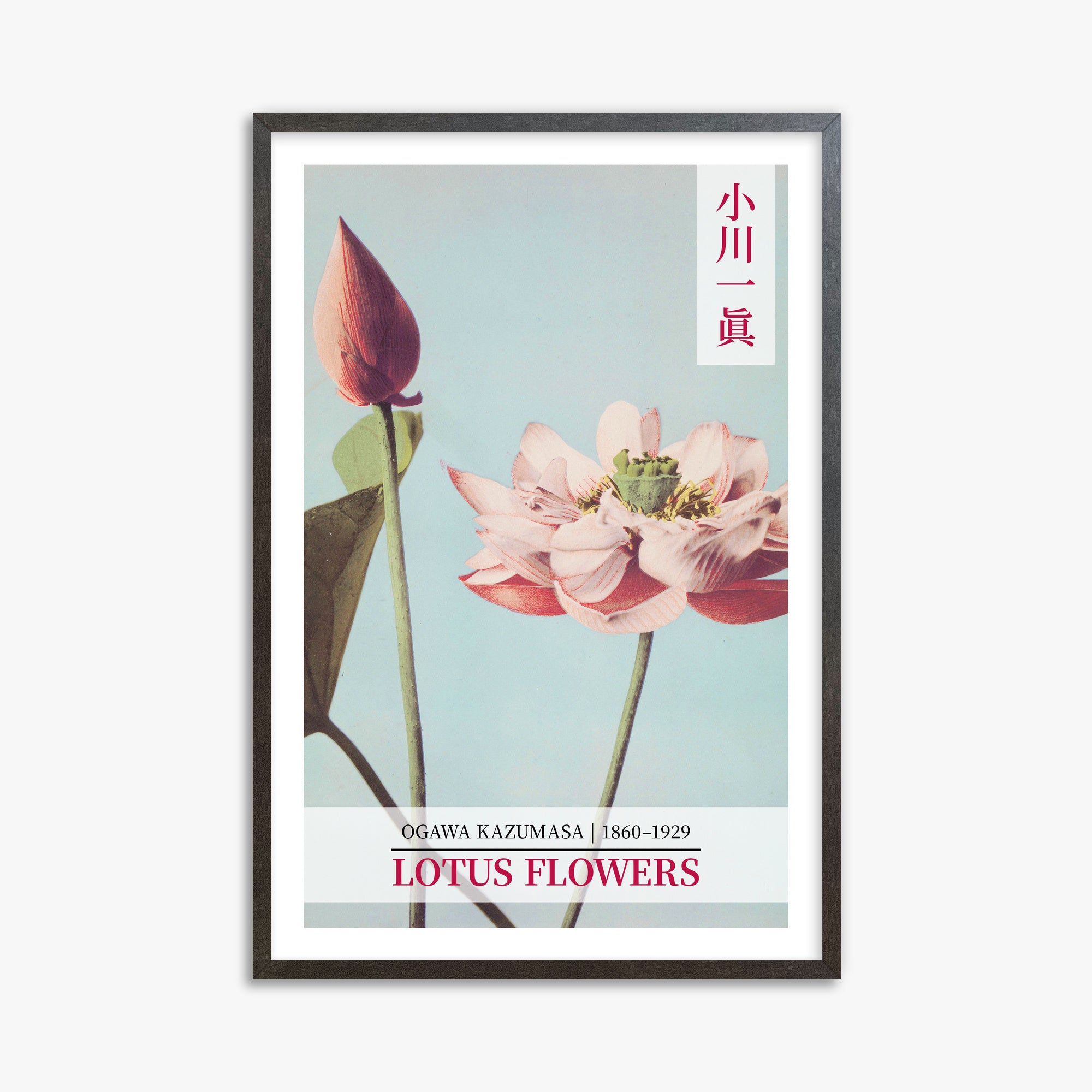 Ogawa Kazumasa: Lotus Flowers - Gallery-style 2, 61x91cm Framed Art Reproduction With Espresso Frame