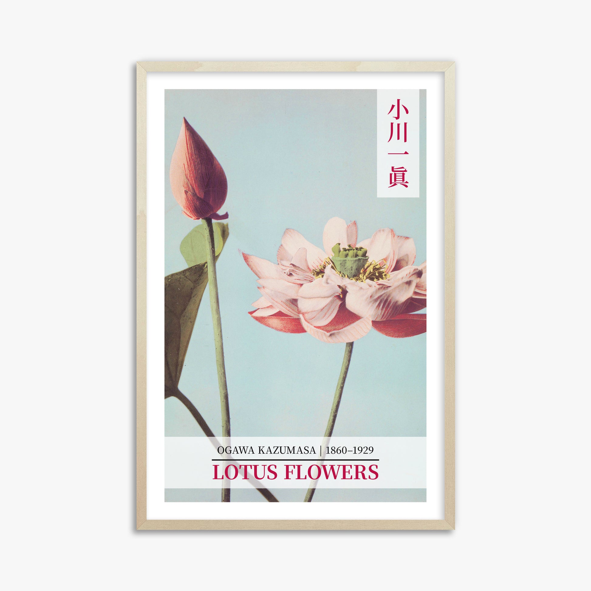 Ogawa Kazumasa: Lotus Flowers - Gallery-style 2, 61x91cm Framed Art Reproduction With Lime Wood Frame