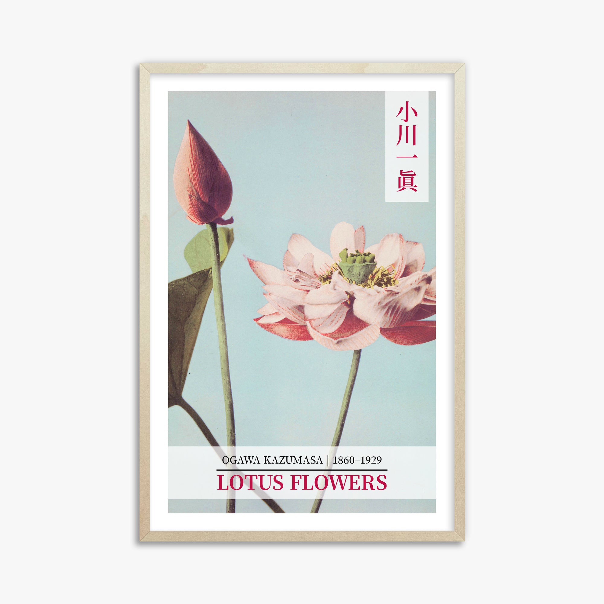 Ogawa Kazumasa: Lotus Flowers - Gallery-style 2, 61x91cm Framed Art Reproduction With Lime Wood Frame