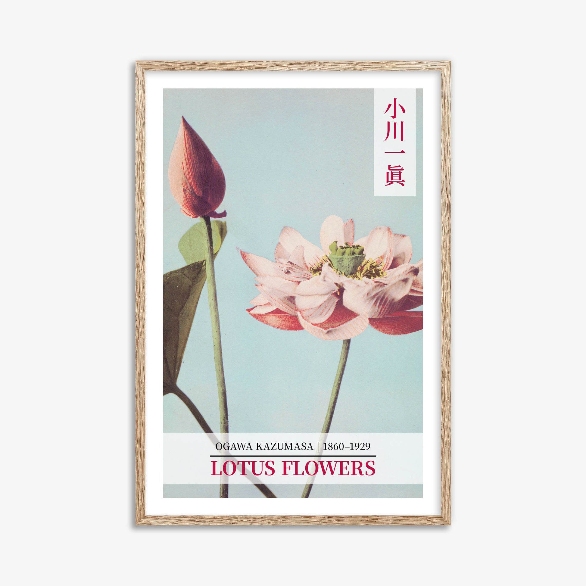 Ogawa Kazumasa: Lotus Flowers - Gallery-style 2, 61x91cm Framed Art Reproduction With Raw Oak Frame