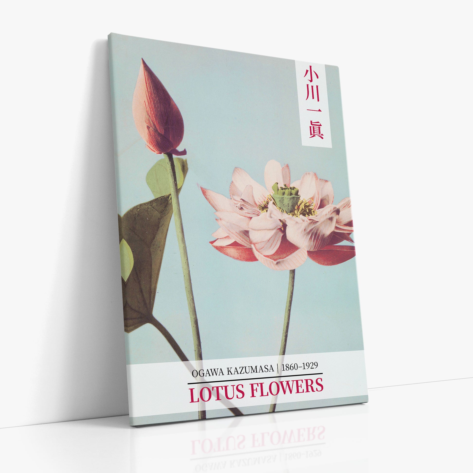 Ogawa Kazumasa: Lotus Flowers - Gallery-style 2, 70x100cm Satin Canvas Art Reproduction Left Angle