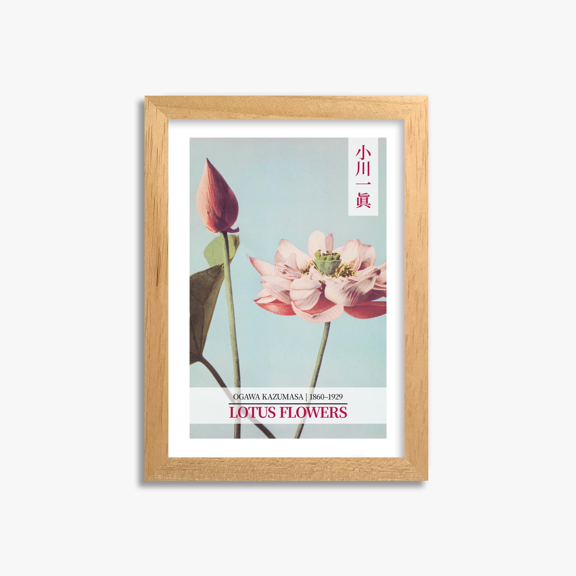 Ogawa Kazumasa: Lotus Flowers - Gallery-style 2 21x30 cm Art Reproduction With Oak Frame