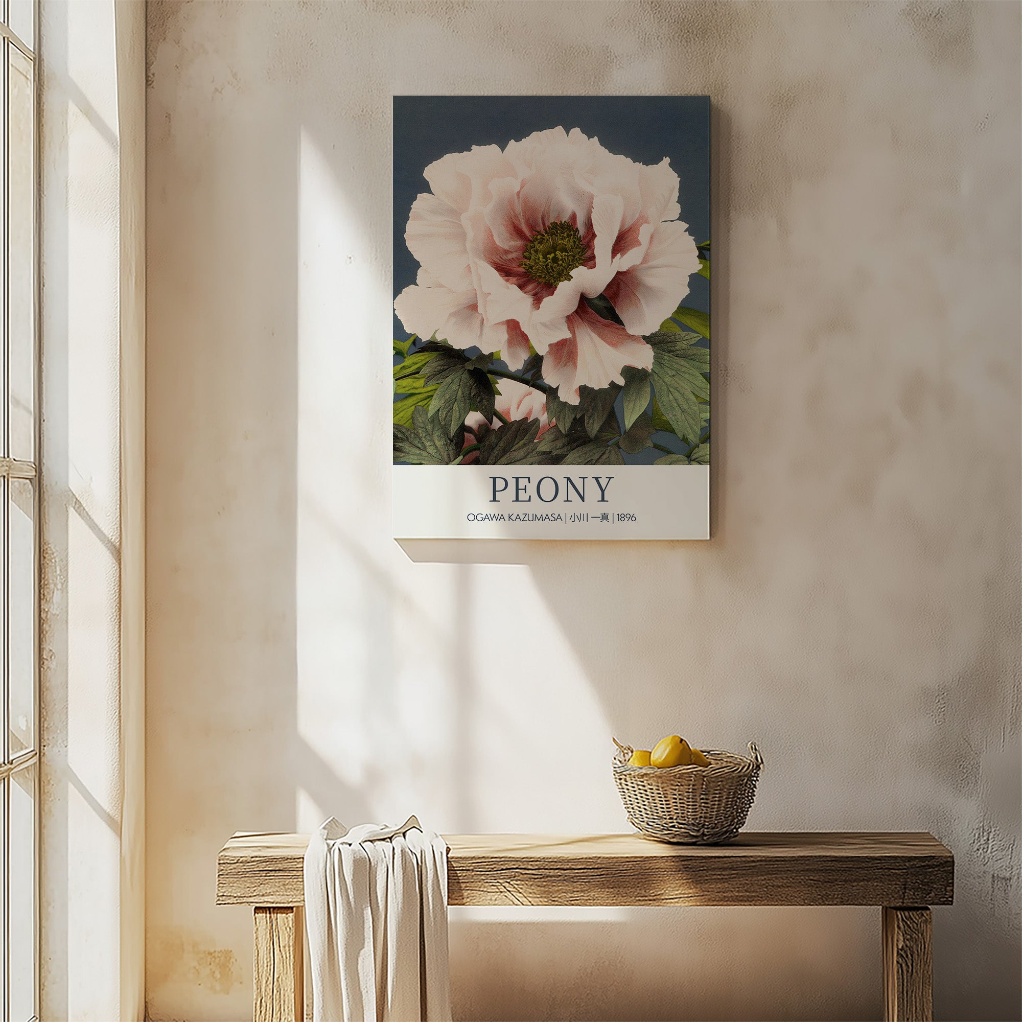 Pfingstrose - Galerie-Stil
