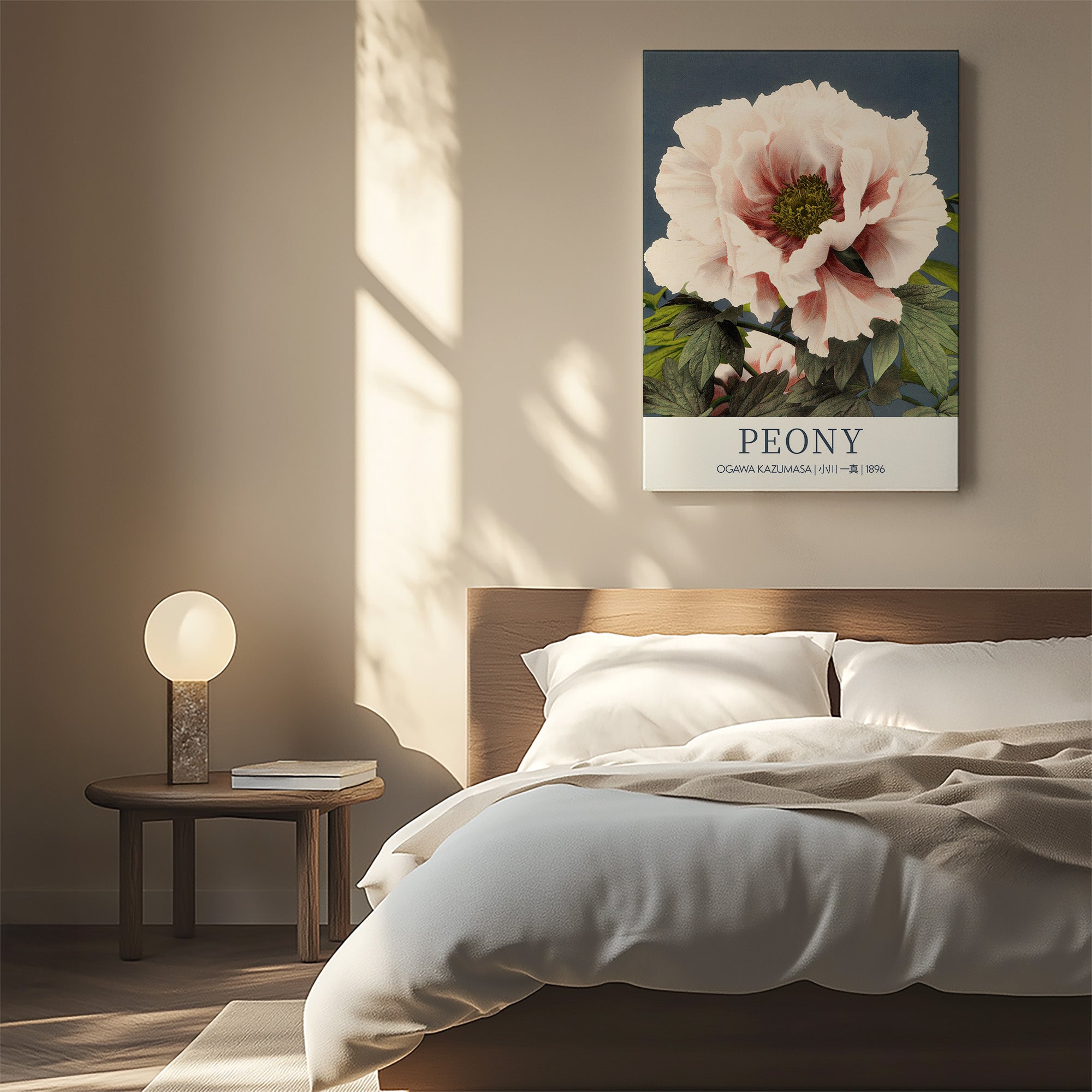 Pfingstrose - Galerie-Stil