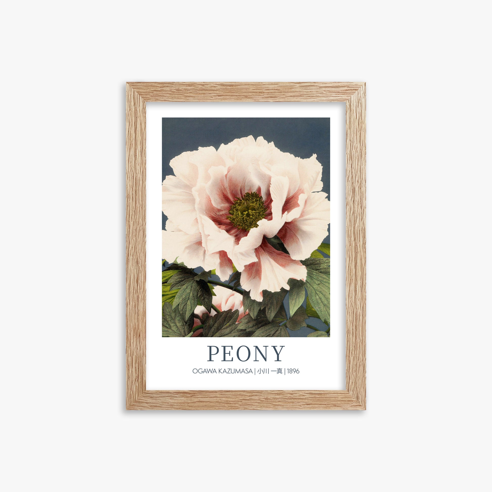 Ogawa Kazumasa: Peony - Gallery-style, 21x30cm Framed Art Reproduction With Raw Oak Frame