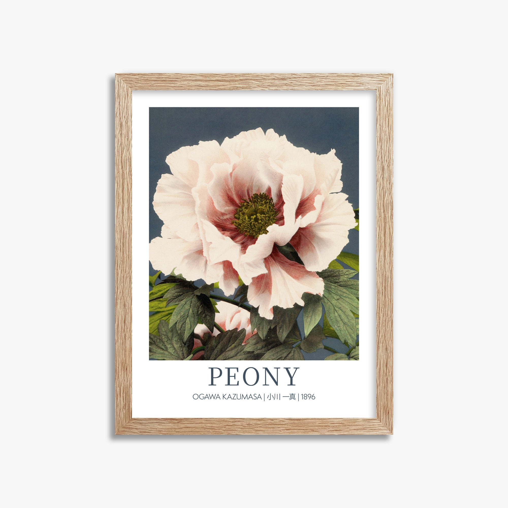 Ogawa Kazumasa: Peony - Gallery-style, 30x40cm Framed Art Reproduction With Raw Oak Frame