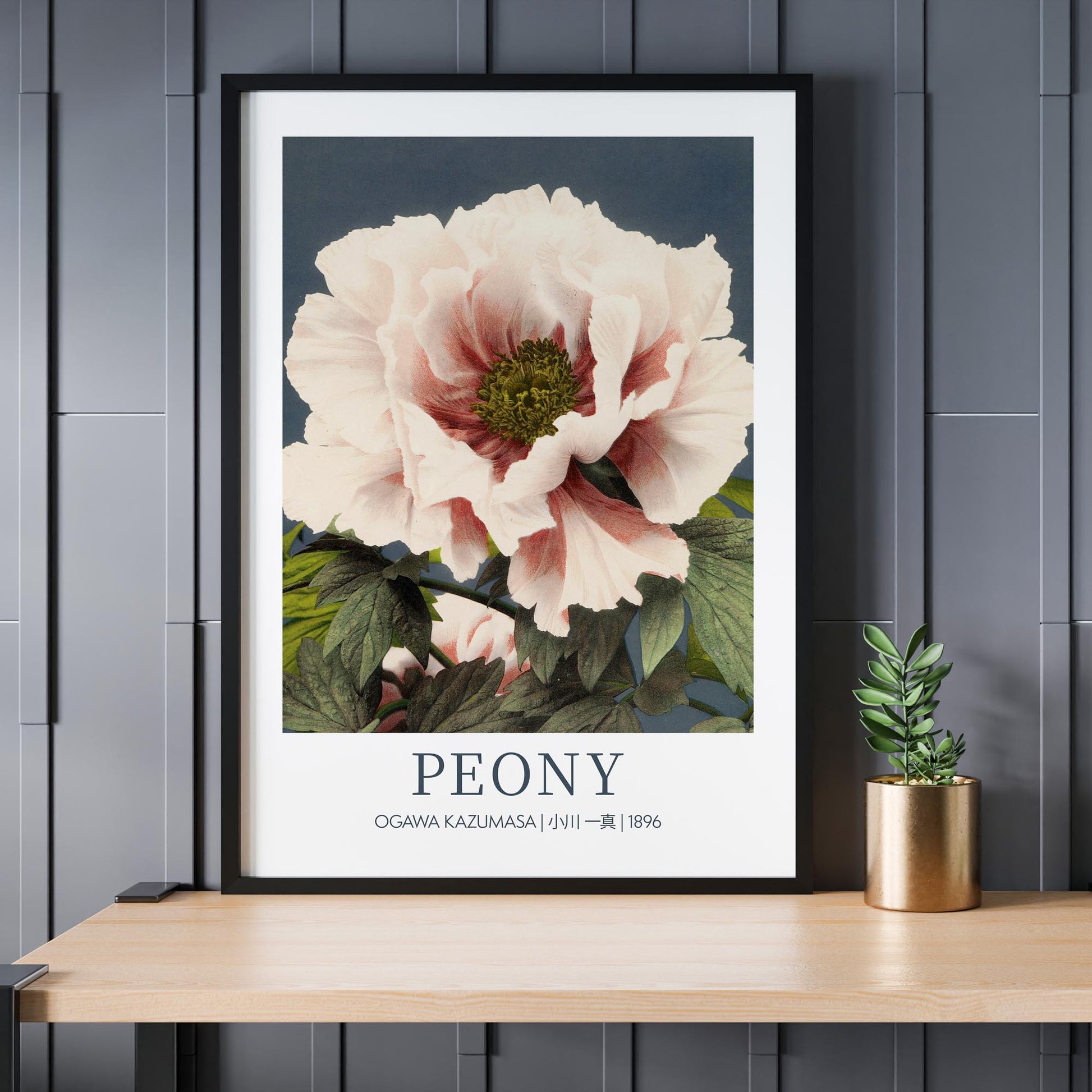 Design concept No. 24 for Ogawa Kazumasa: Peony - Gallery-style Japanese Wall Art