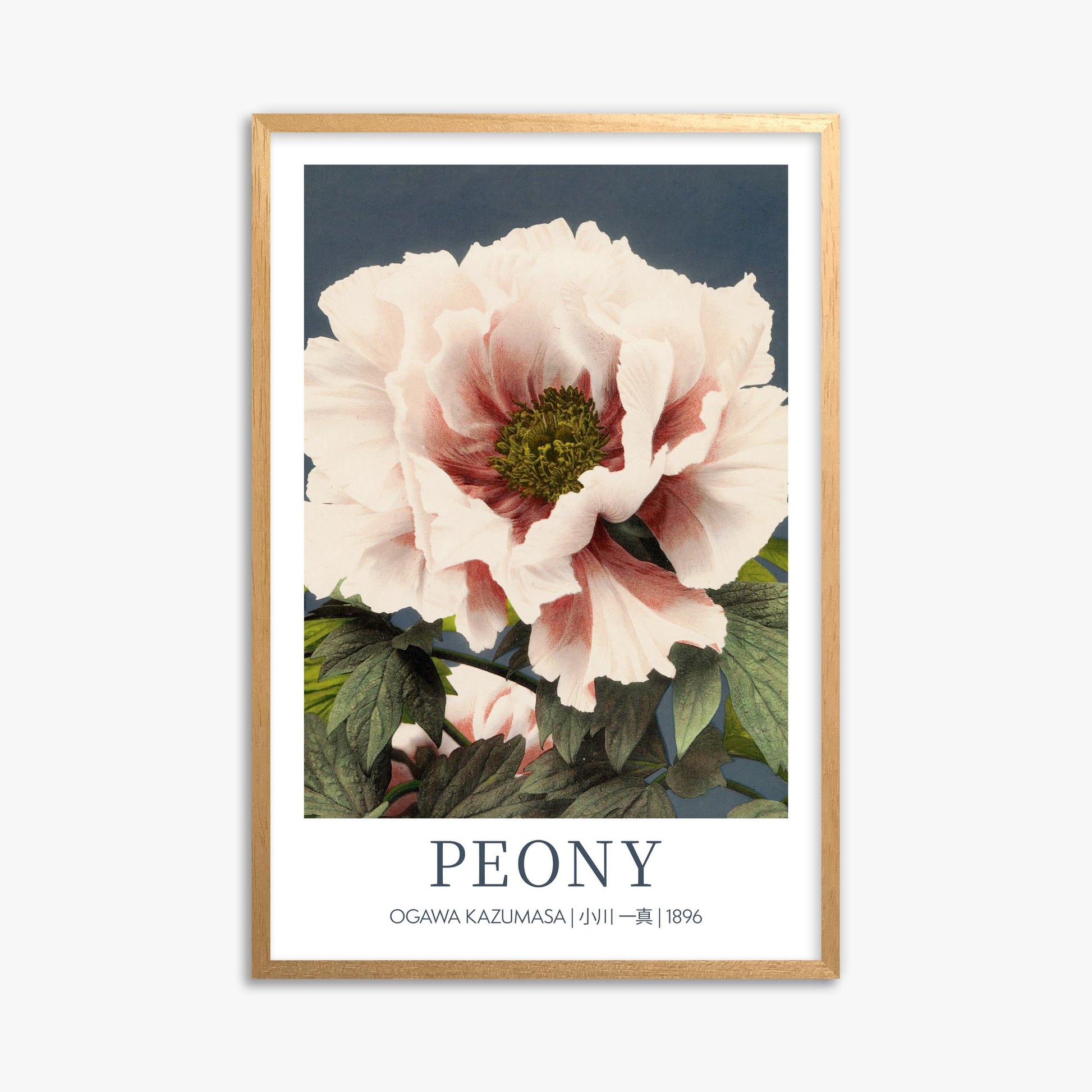 Ogawa Kazumasa: Peony - Gallery-style 61x91 cm Art Reproduction With Oak Frame