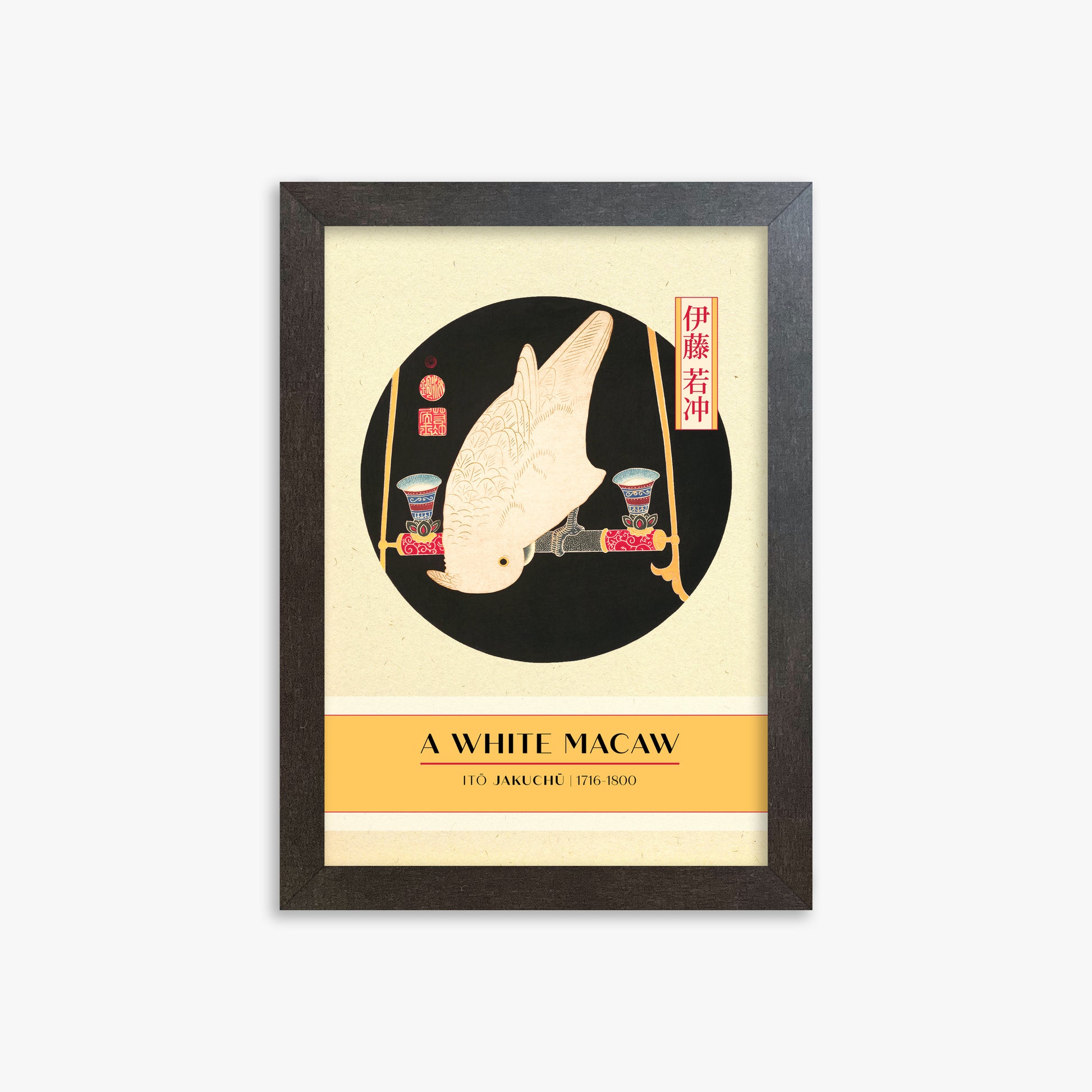 Itō Jakuchū: A White Macaw - Gallery-style, 21x30cm Framed Art Reproduction With Espresso Frame