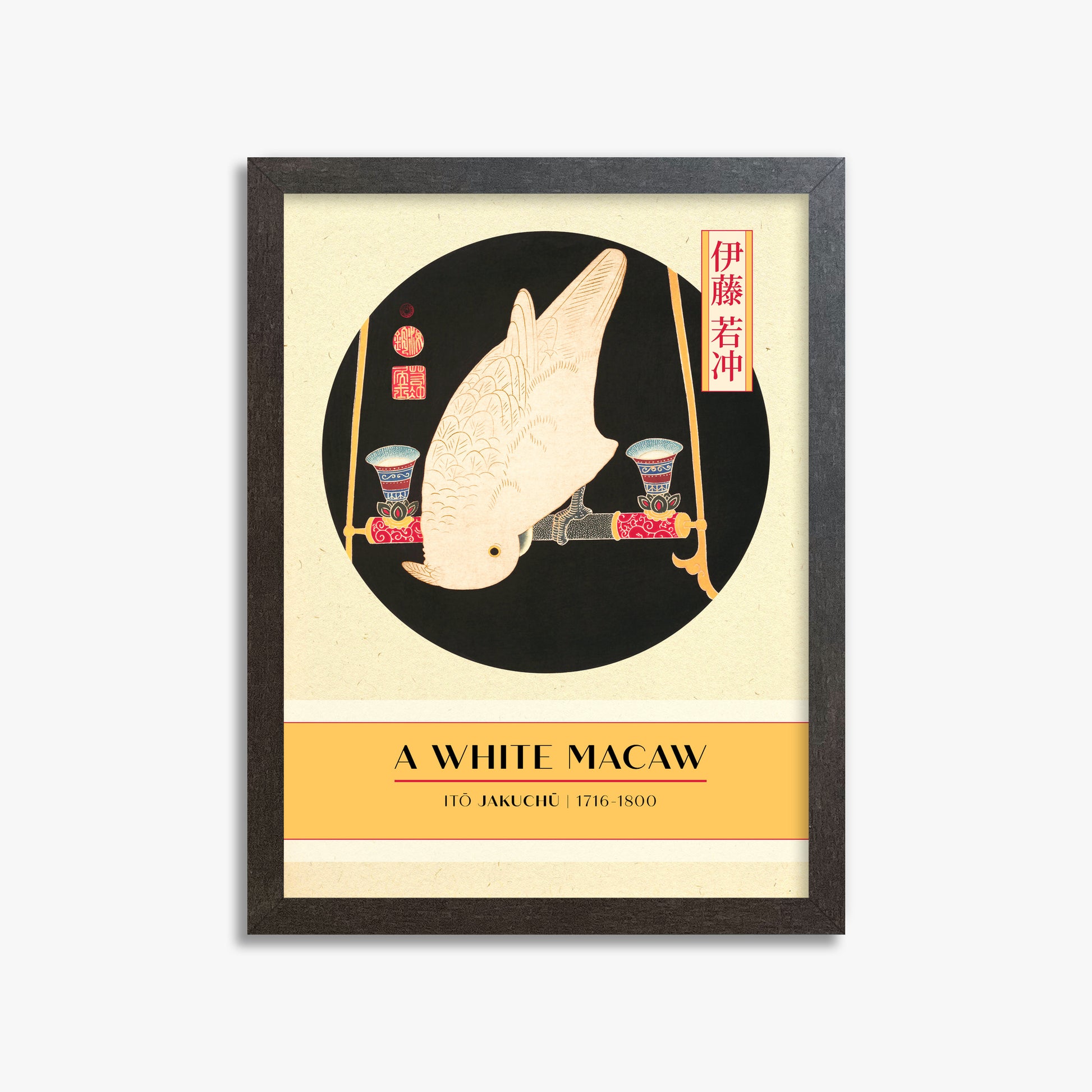 Itō Jakuchū: A White Macaw - Gallery-style, 30x40cm Framed Art Reproduction With Espresso Frame