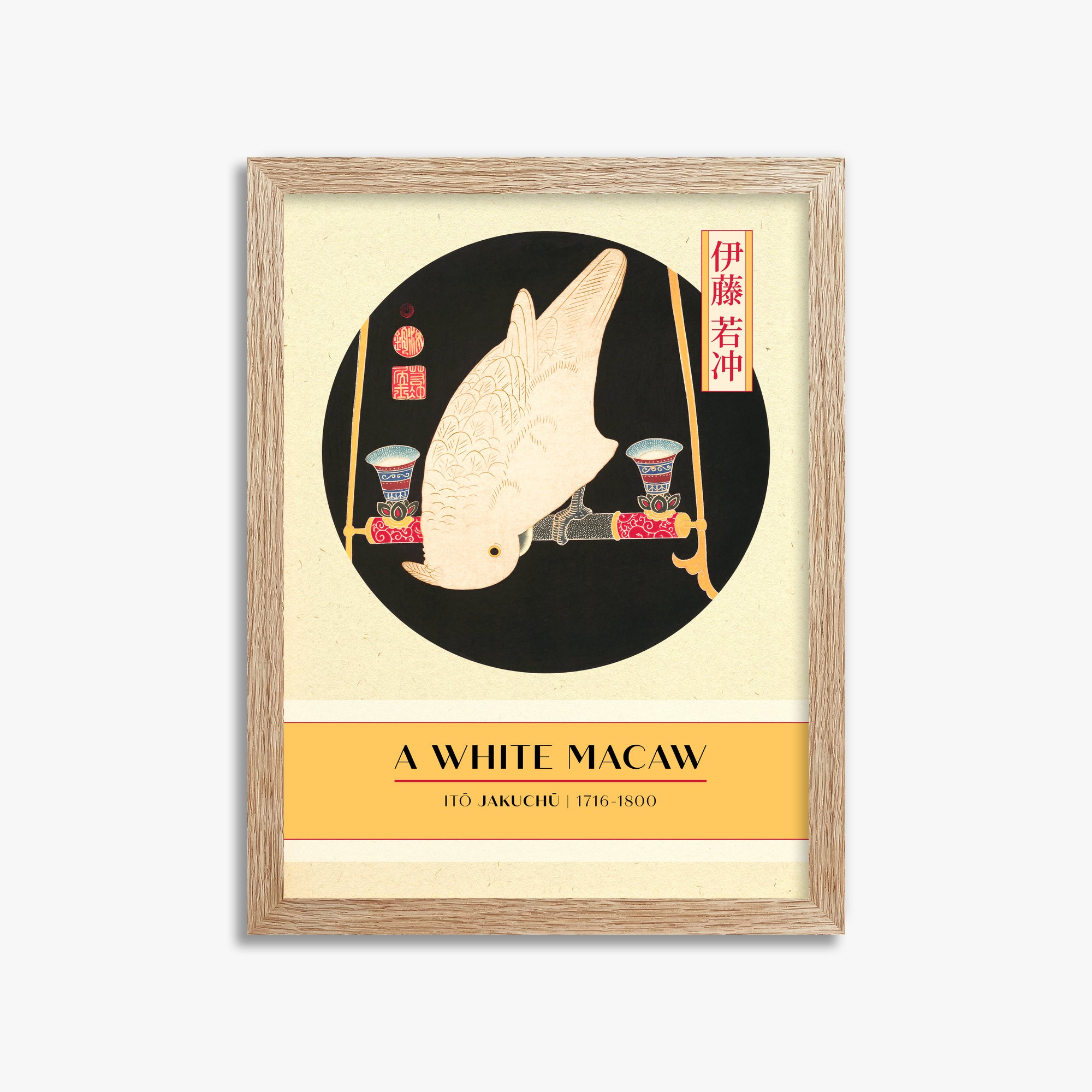 Itō Jakuchū: A White Macaw - Gallery-style, 30x40cm Framed Art Reproduction With Raw Oak Frame