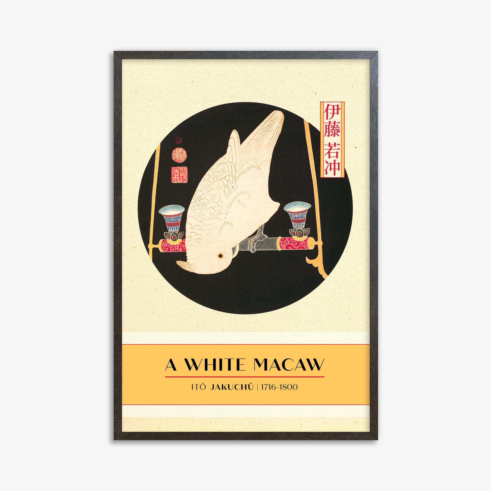 Itō Jakuchū: A White Macaw - Gallery-style, 61x91cm Framed Art Reproduction With Espresso Frame